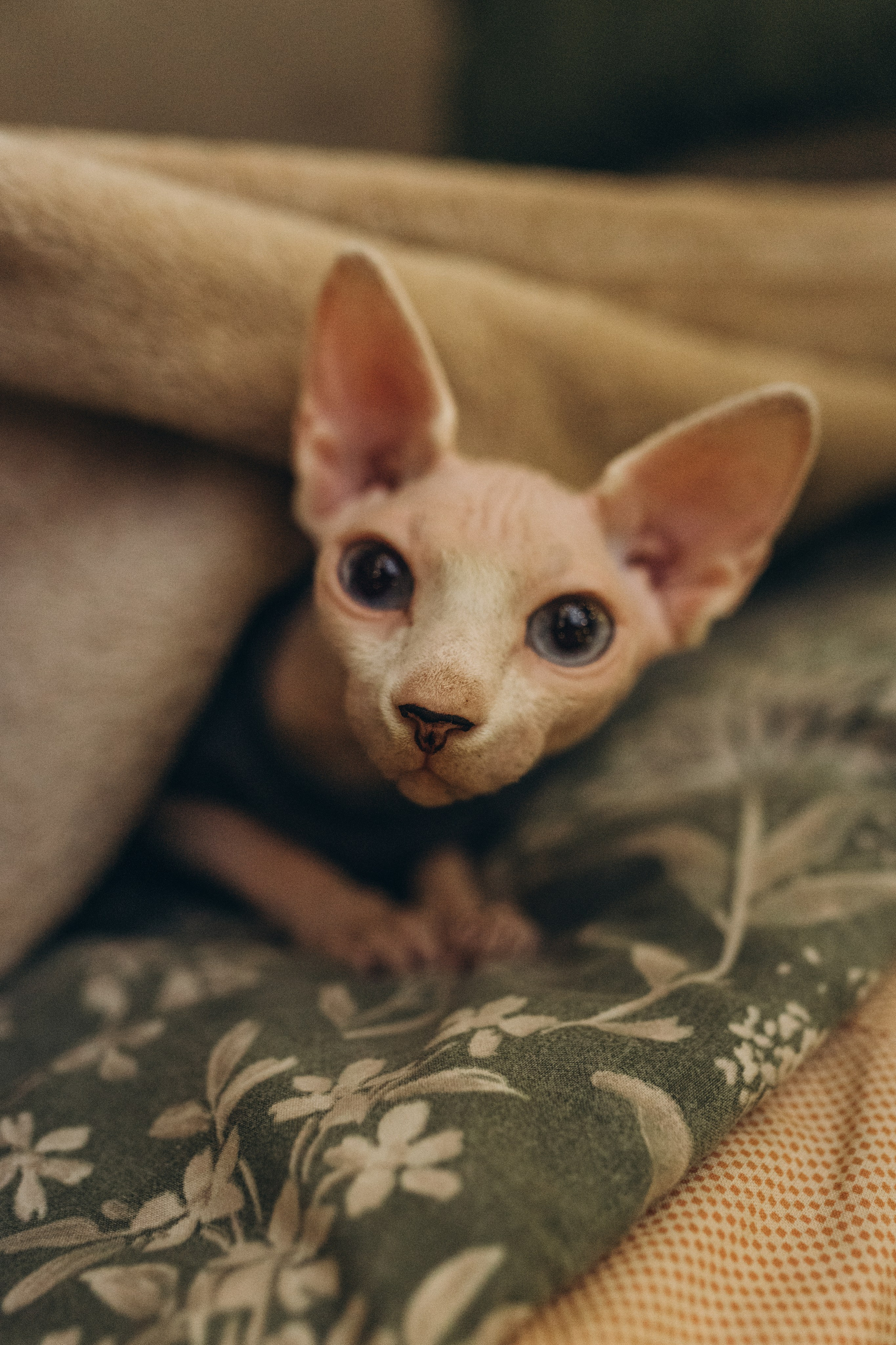 11. Семейный фотограф в Москве Жукова Анна
