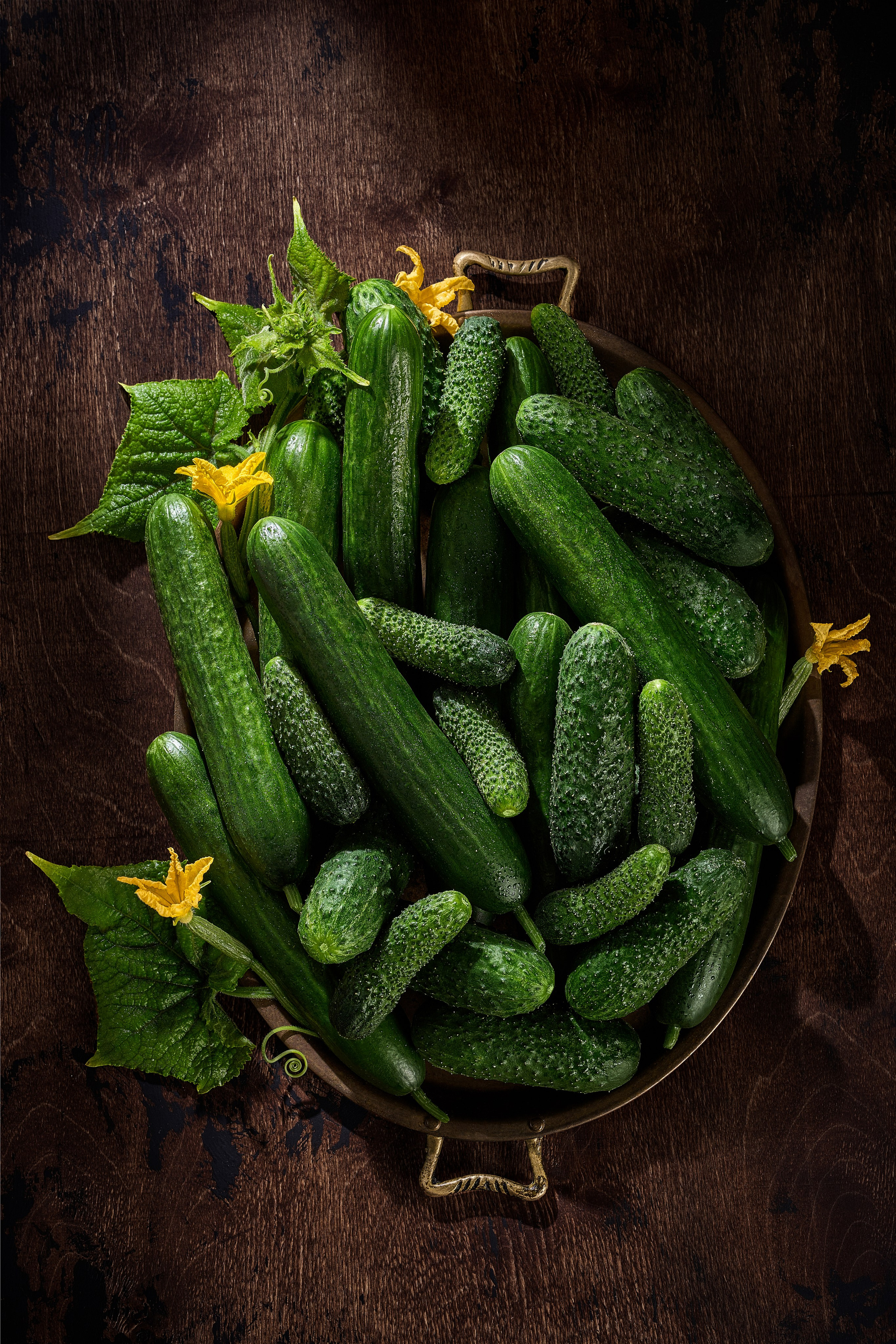 Имиджевый контент. Cheese Food Photo — Предметная и фуд фотосъёмка в Белгороде