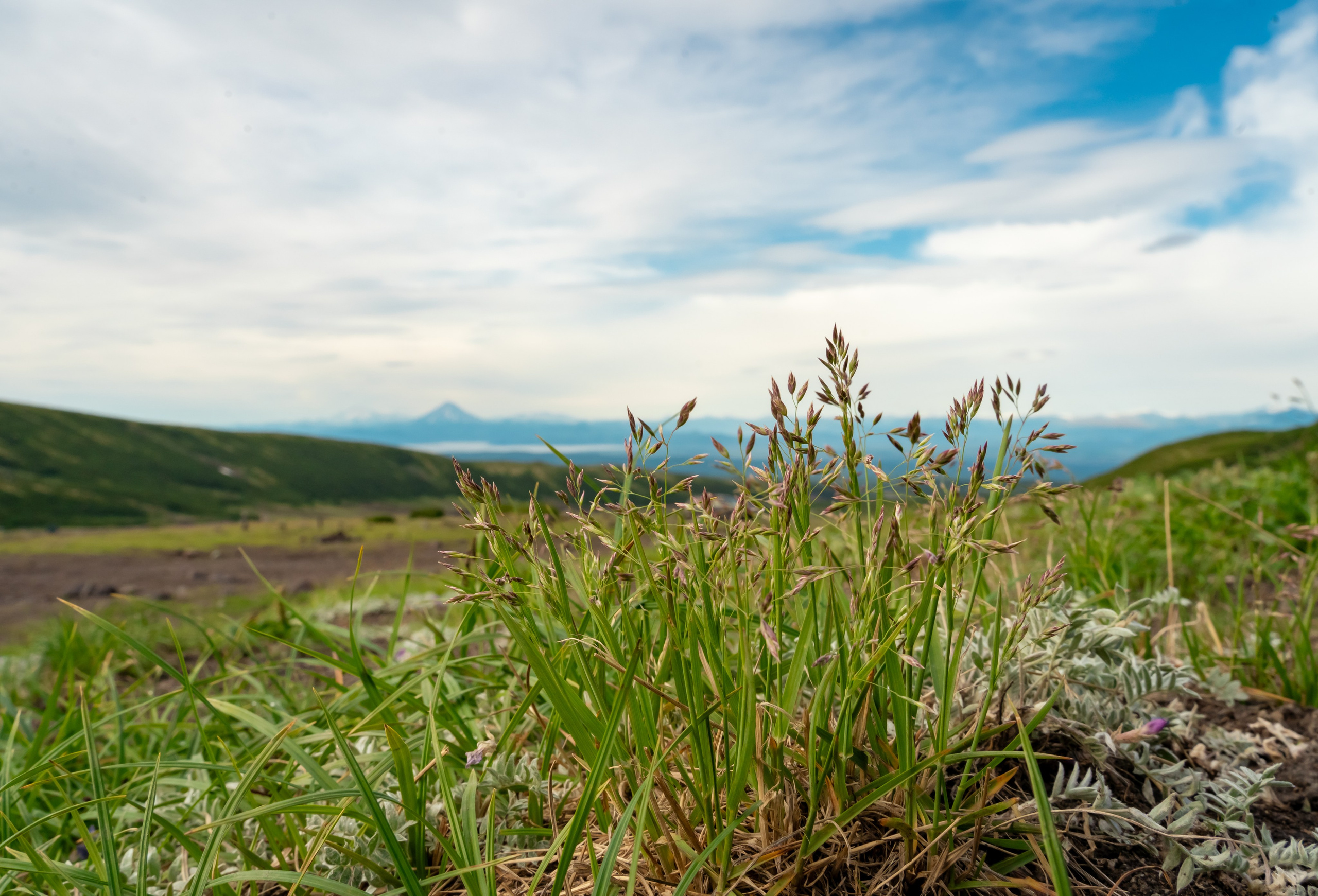 Камчатка. Семейный фотограф Варвара Сорока в городе Москве