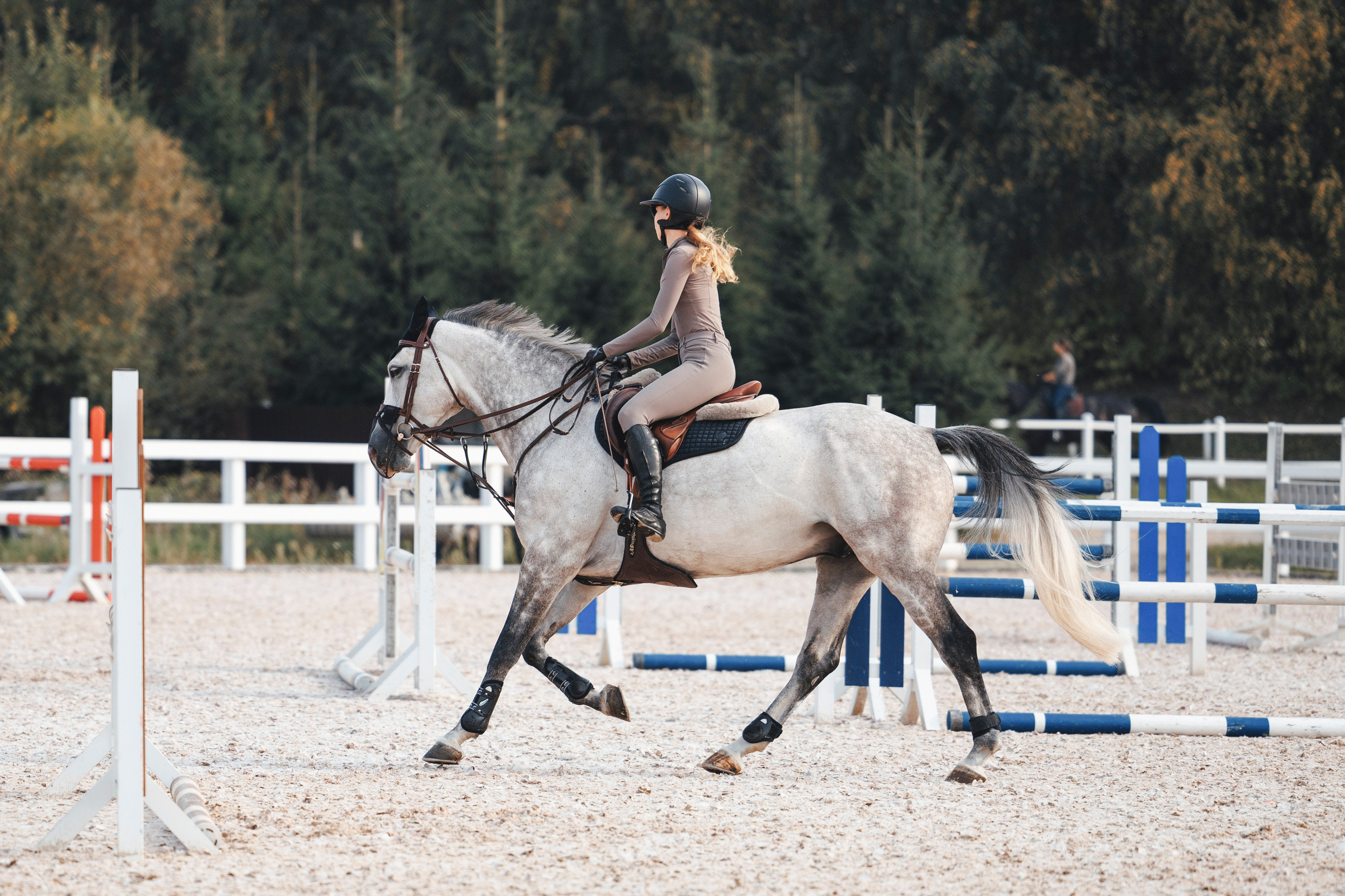 Конкур. Фотограф-анималист Анна Маринич