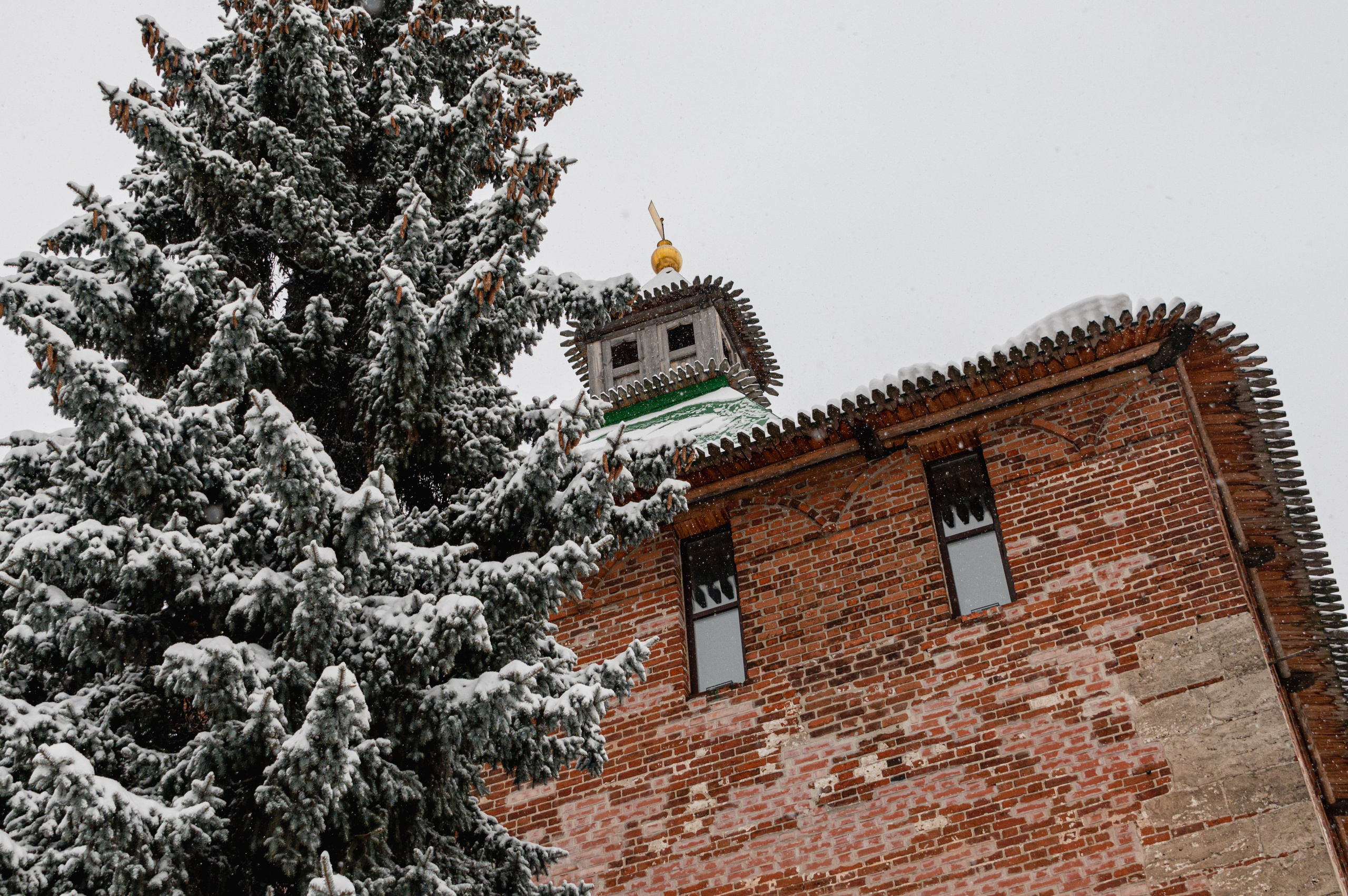 Нижний Новгород. Январь 2024. Фотограф Роман Адлер