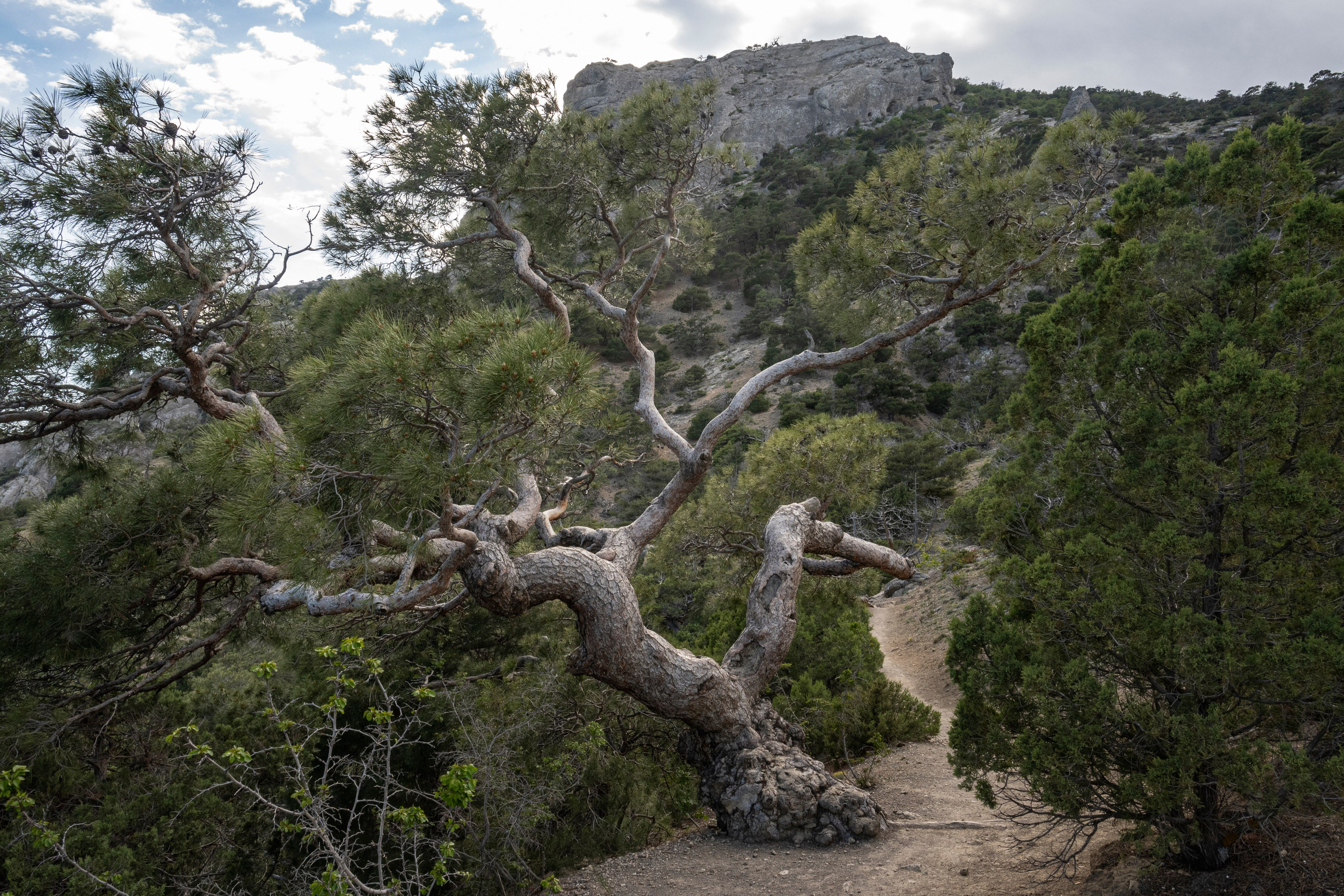 Крым май 2022. Фотограф Роман Адлер