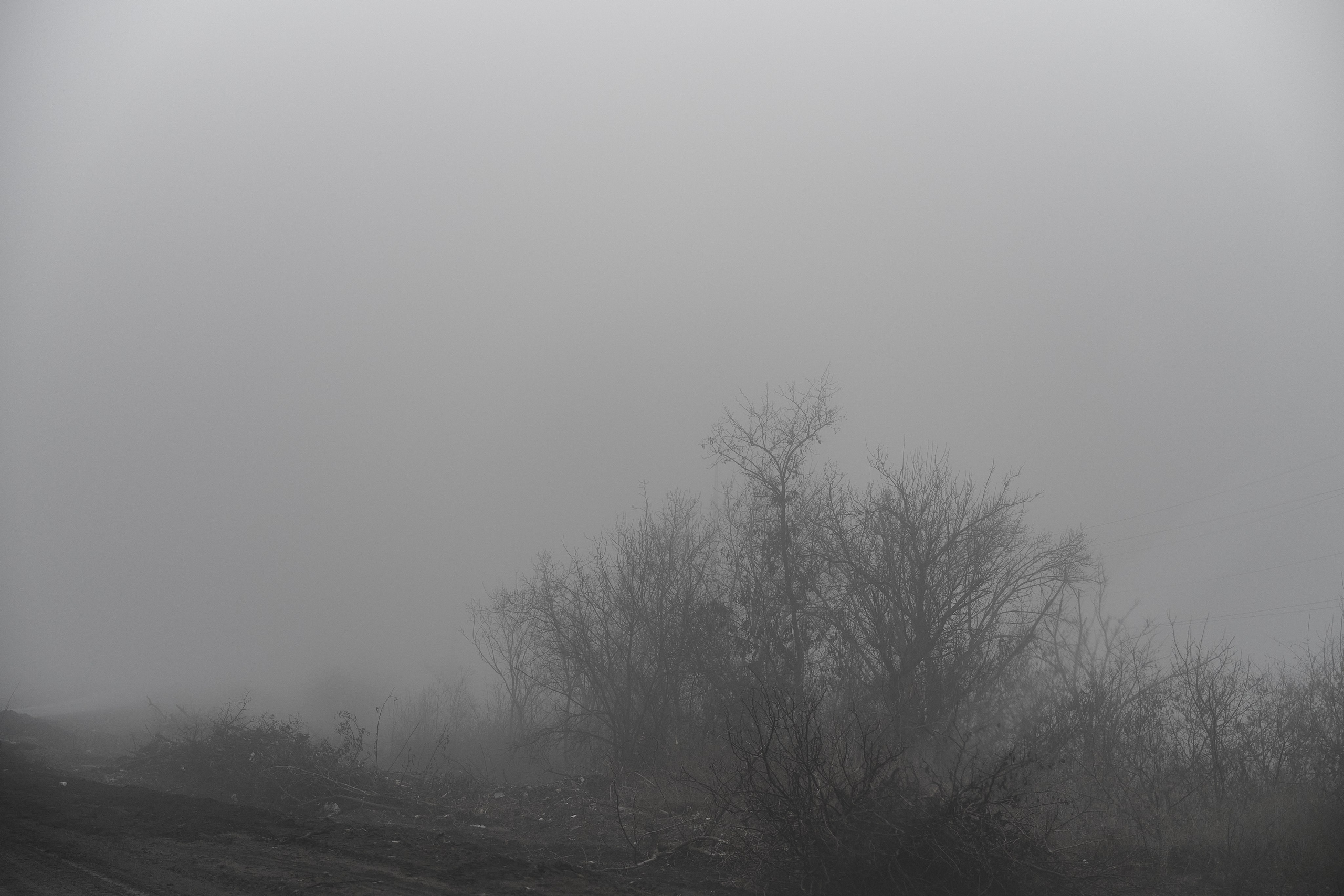 Дорога домой. Туман. Фотограф Роман Адлер