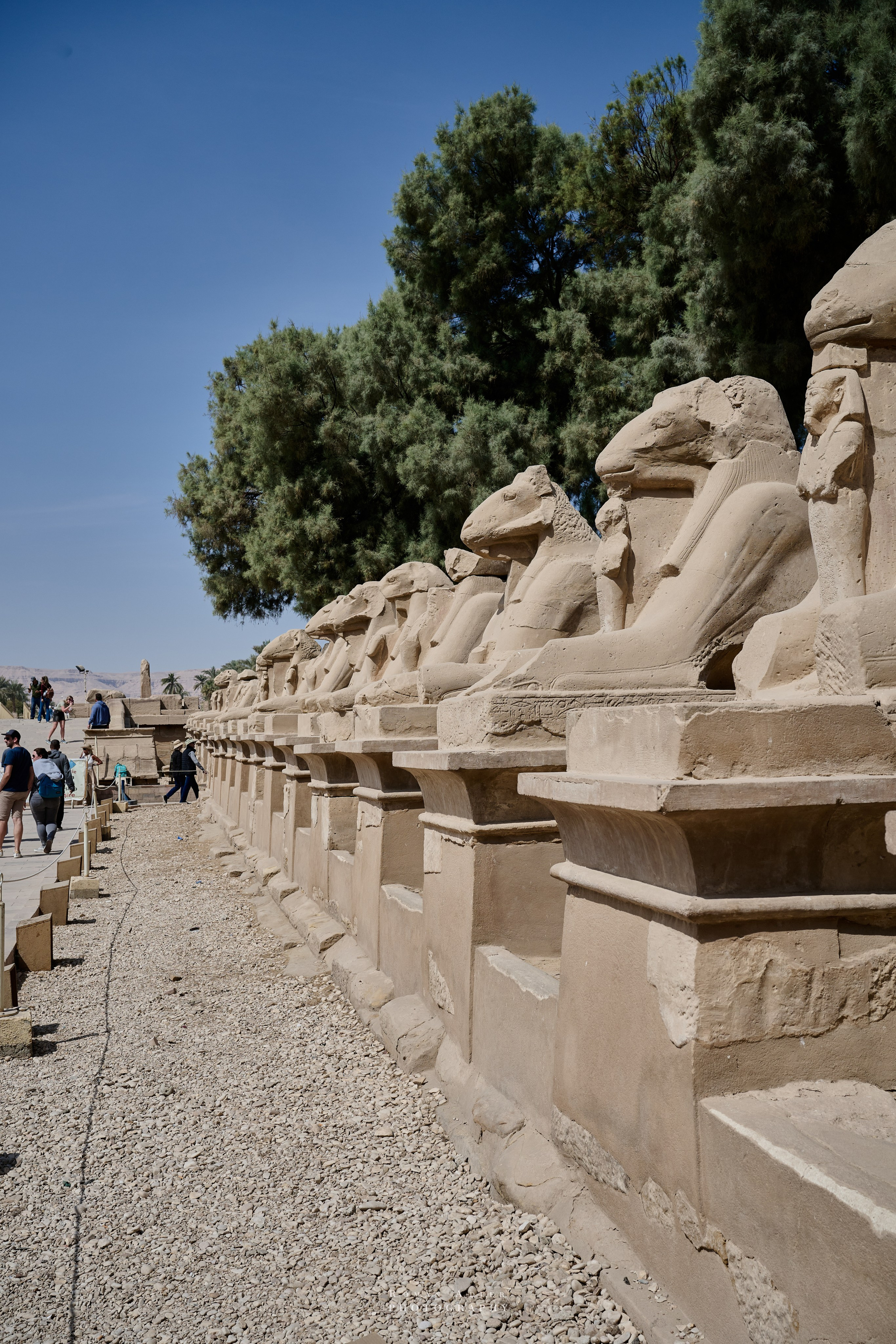 Луксор. Февраль 2025. Фотограф Роман Адлер