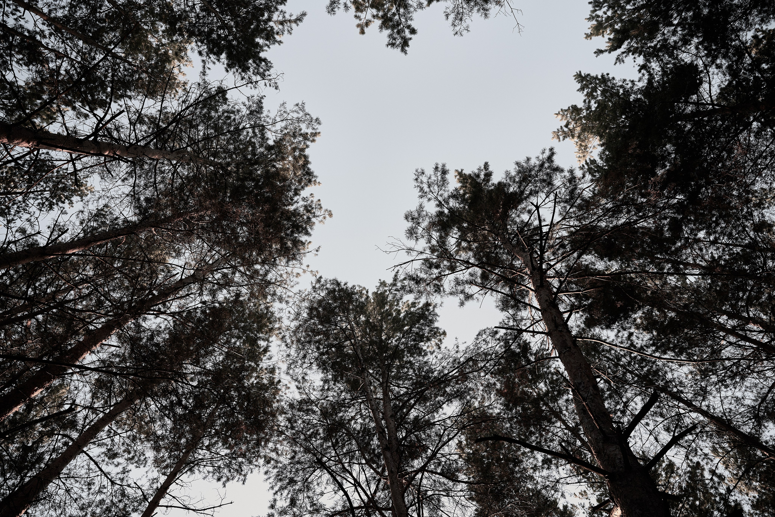 Дороги Территорий. Фотограф Роман Адлер