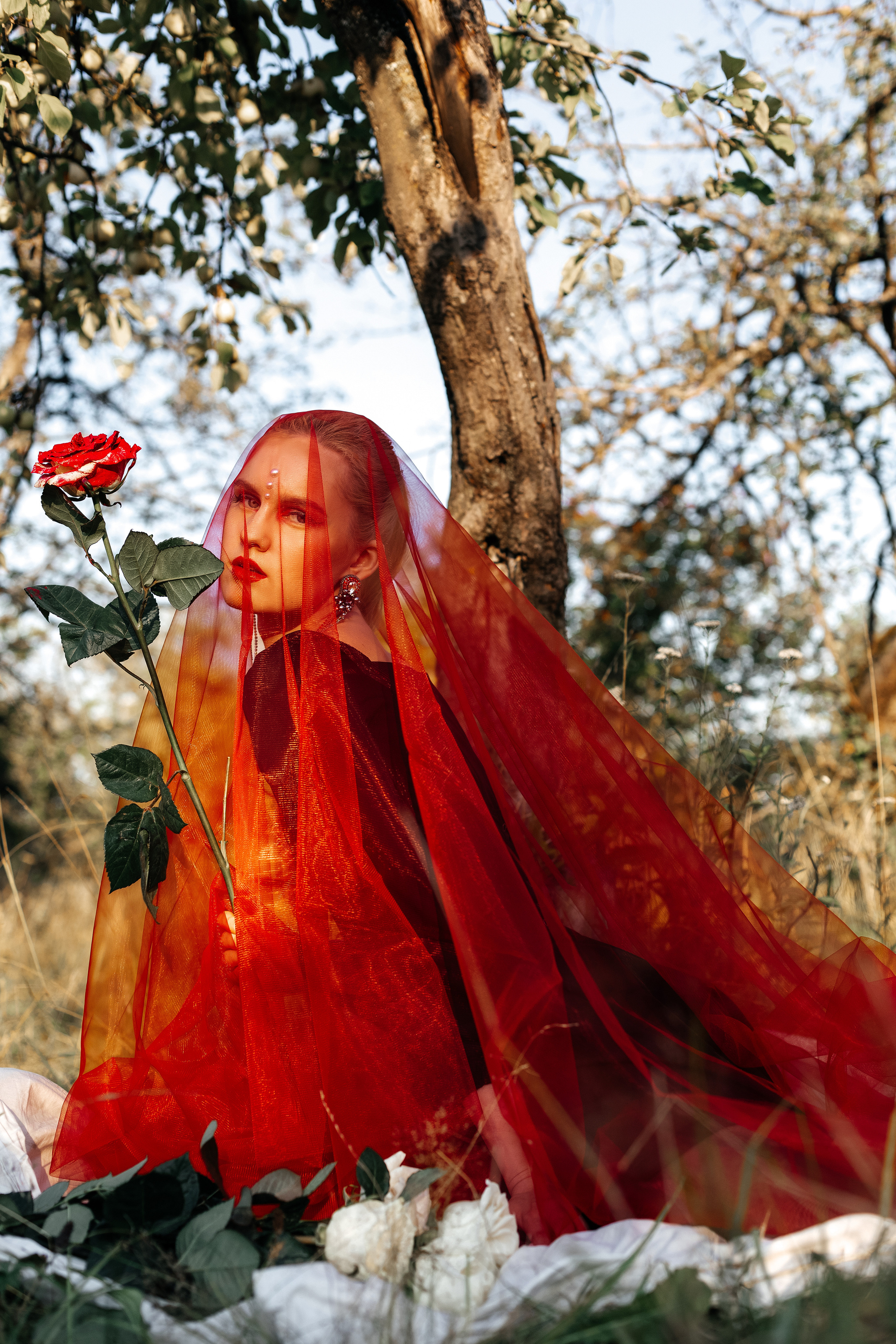 Из белого в красный. Фотограф Великий Новгород