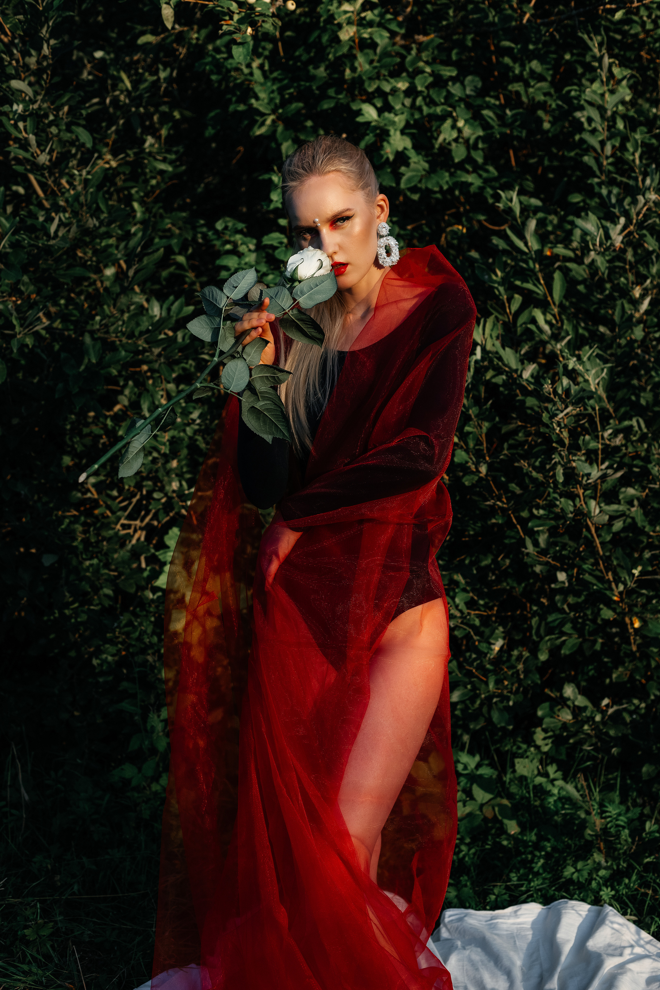 Из белого в красный. Фотограф Великий Новгород