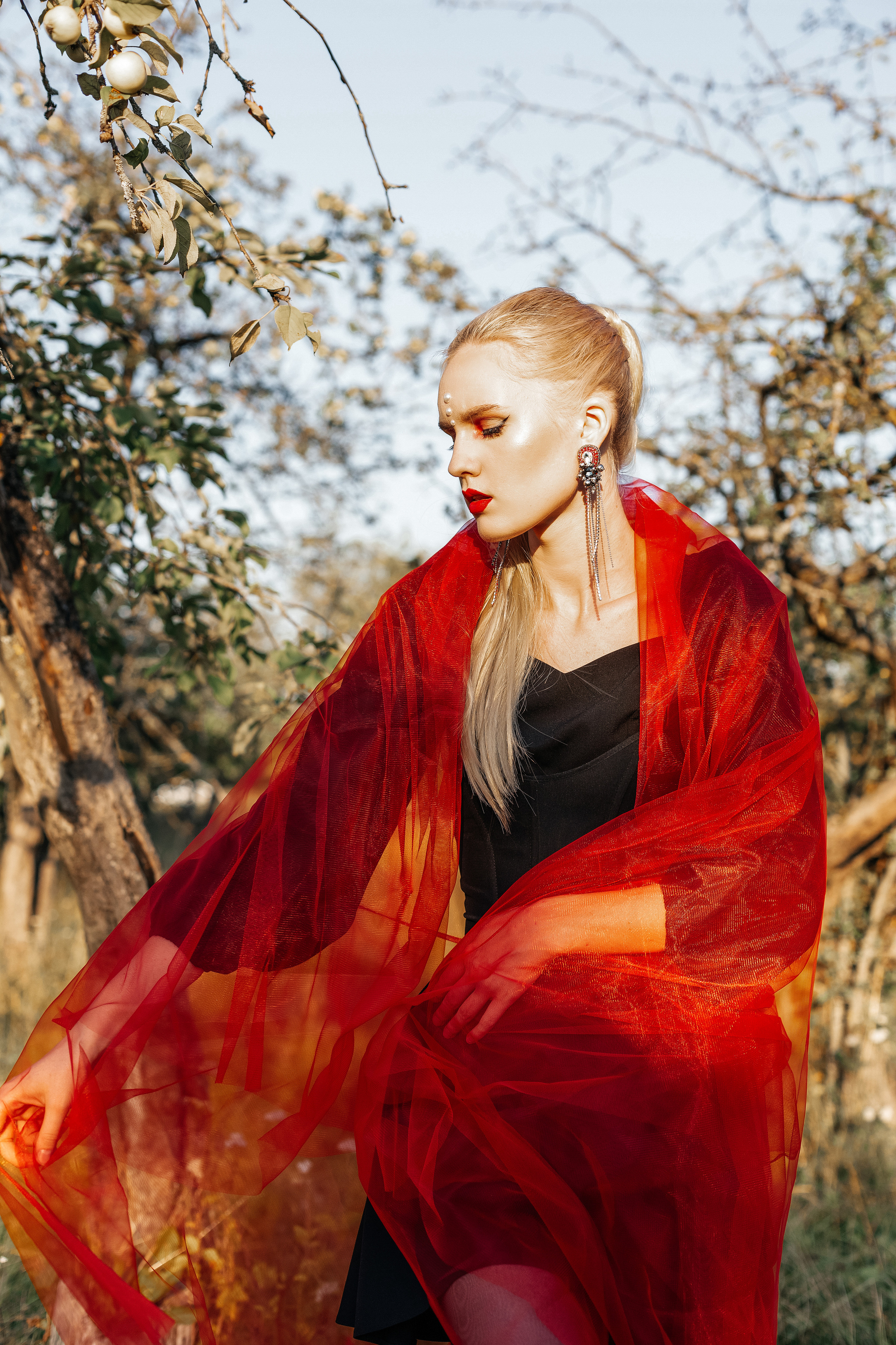 Из белого в красный. Фотограф Великий Новгород