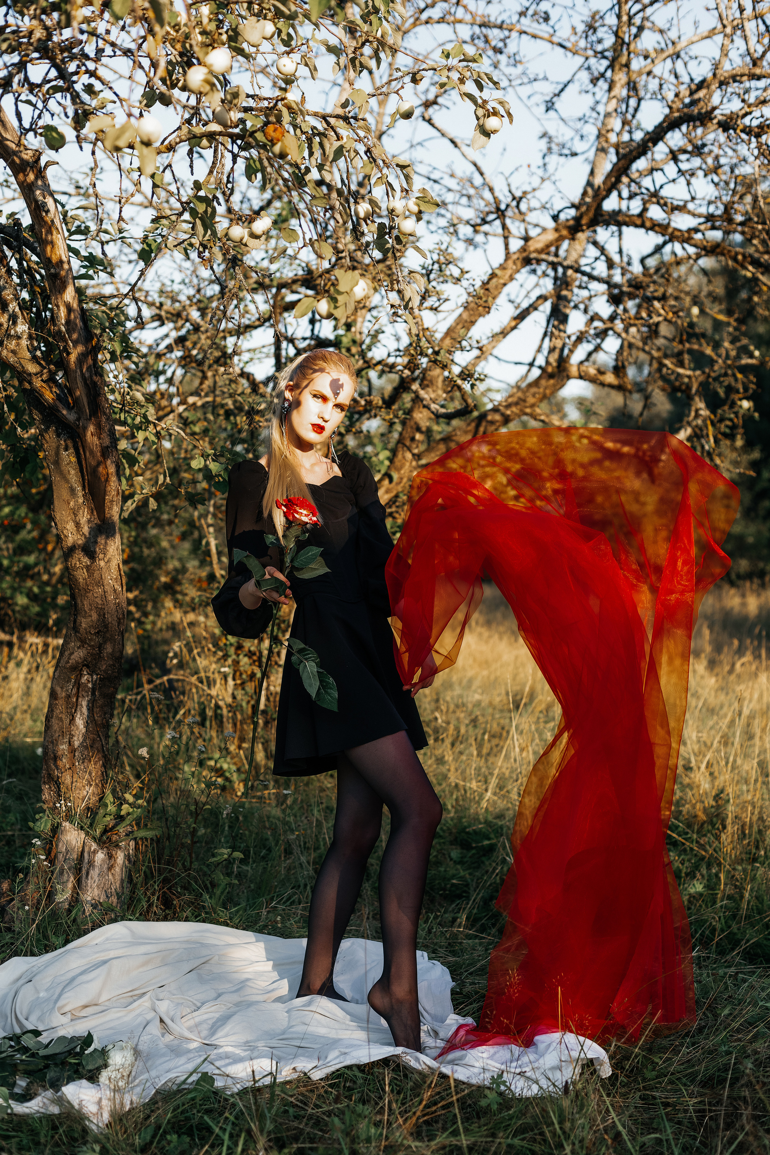 Из белого в красный. Фотограф Великий Новгород