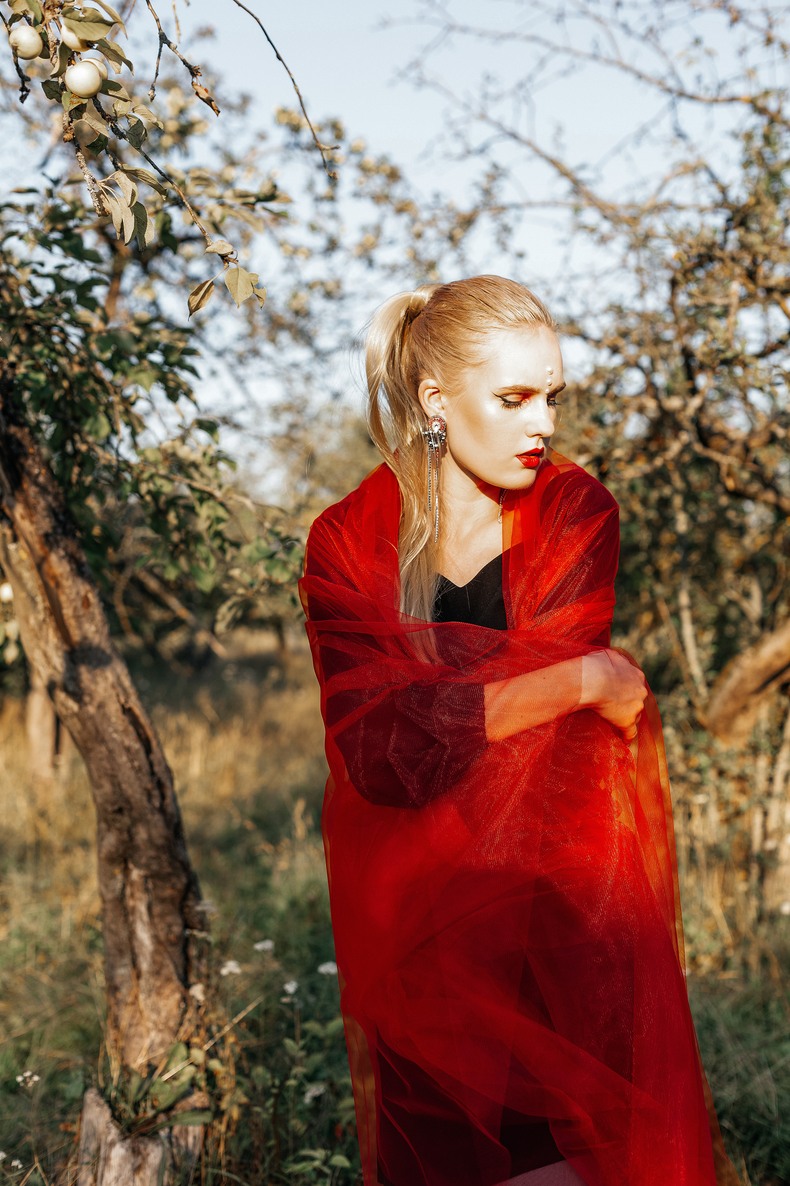 Из белого в красный. Фотограф Великий Новгород