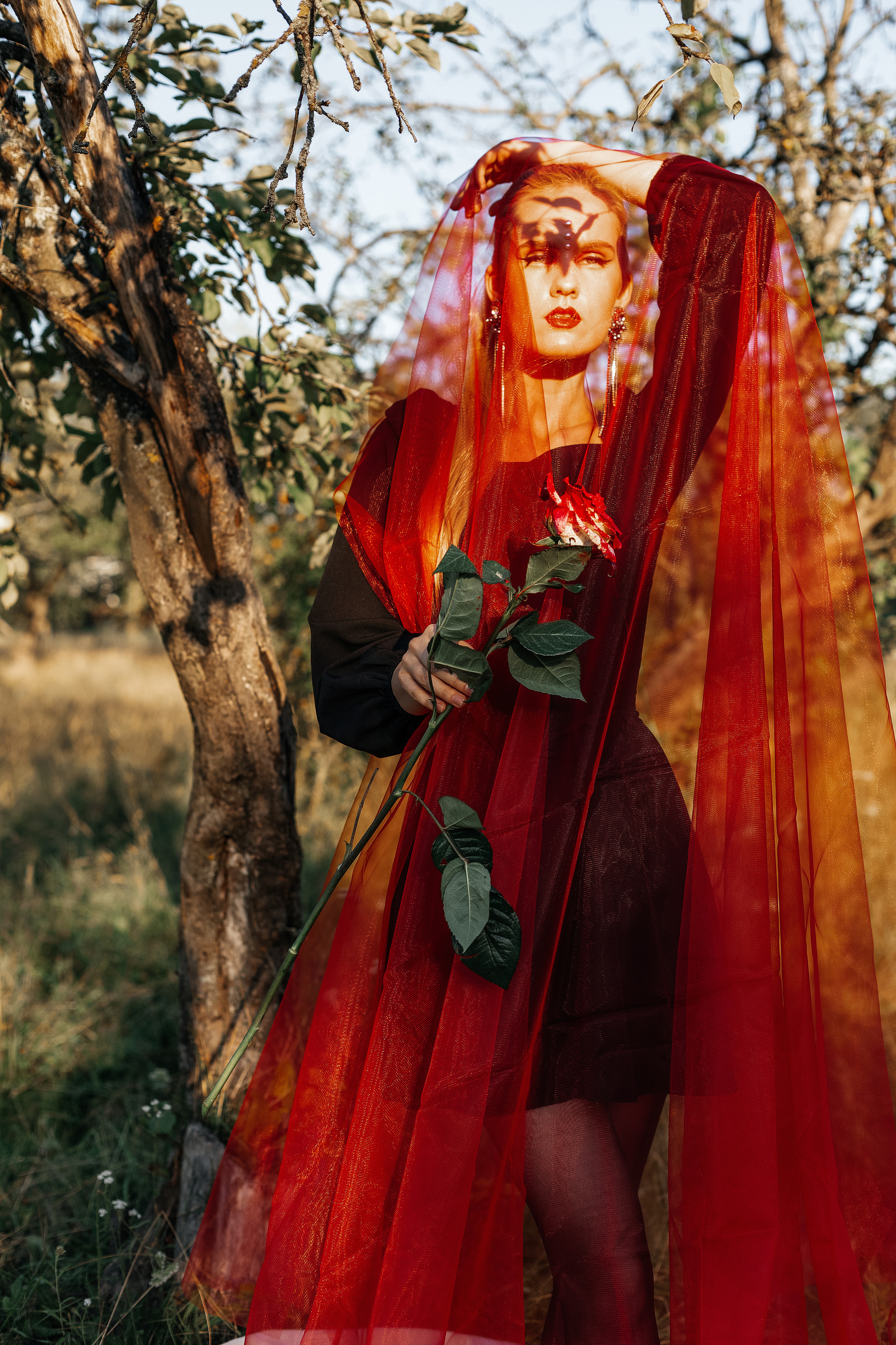 Из белого в красный. Фотограф Великий Новгород