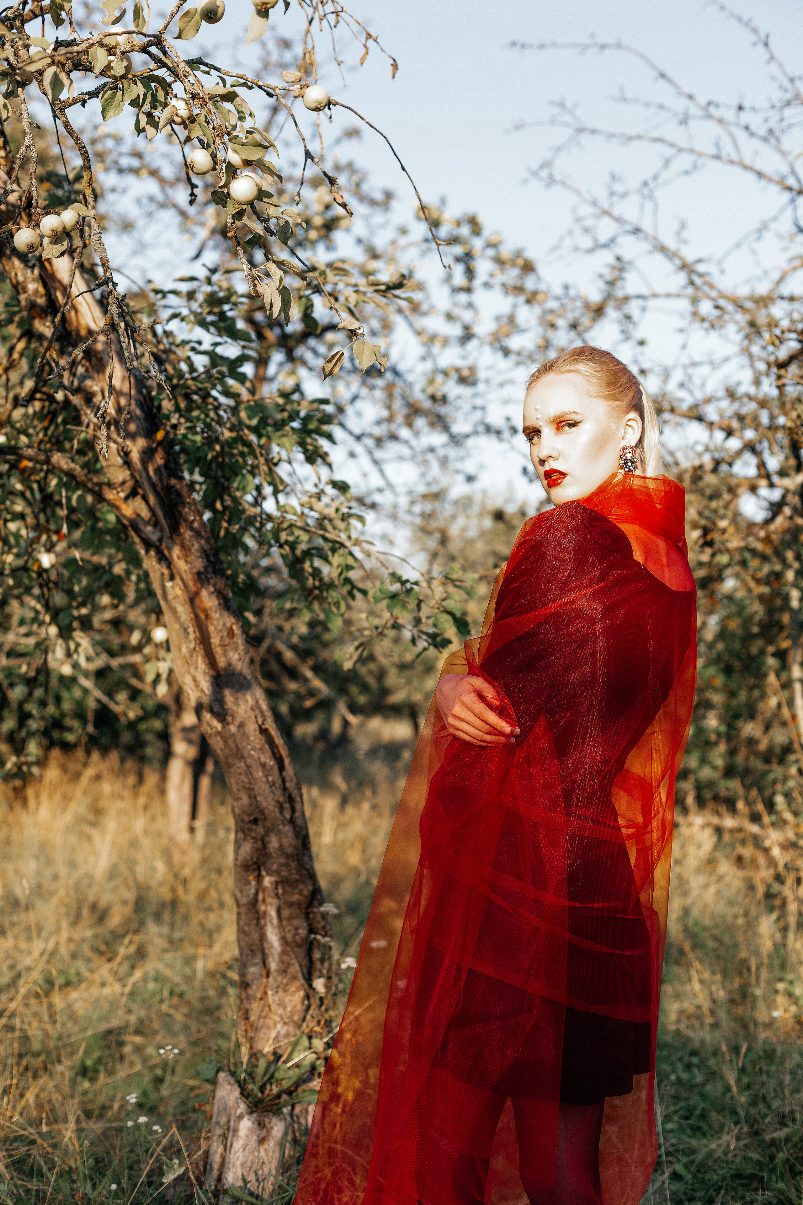 Из белого в красный. Фотограф Великий Новгород