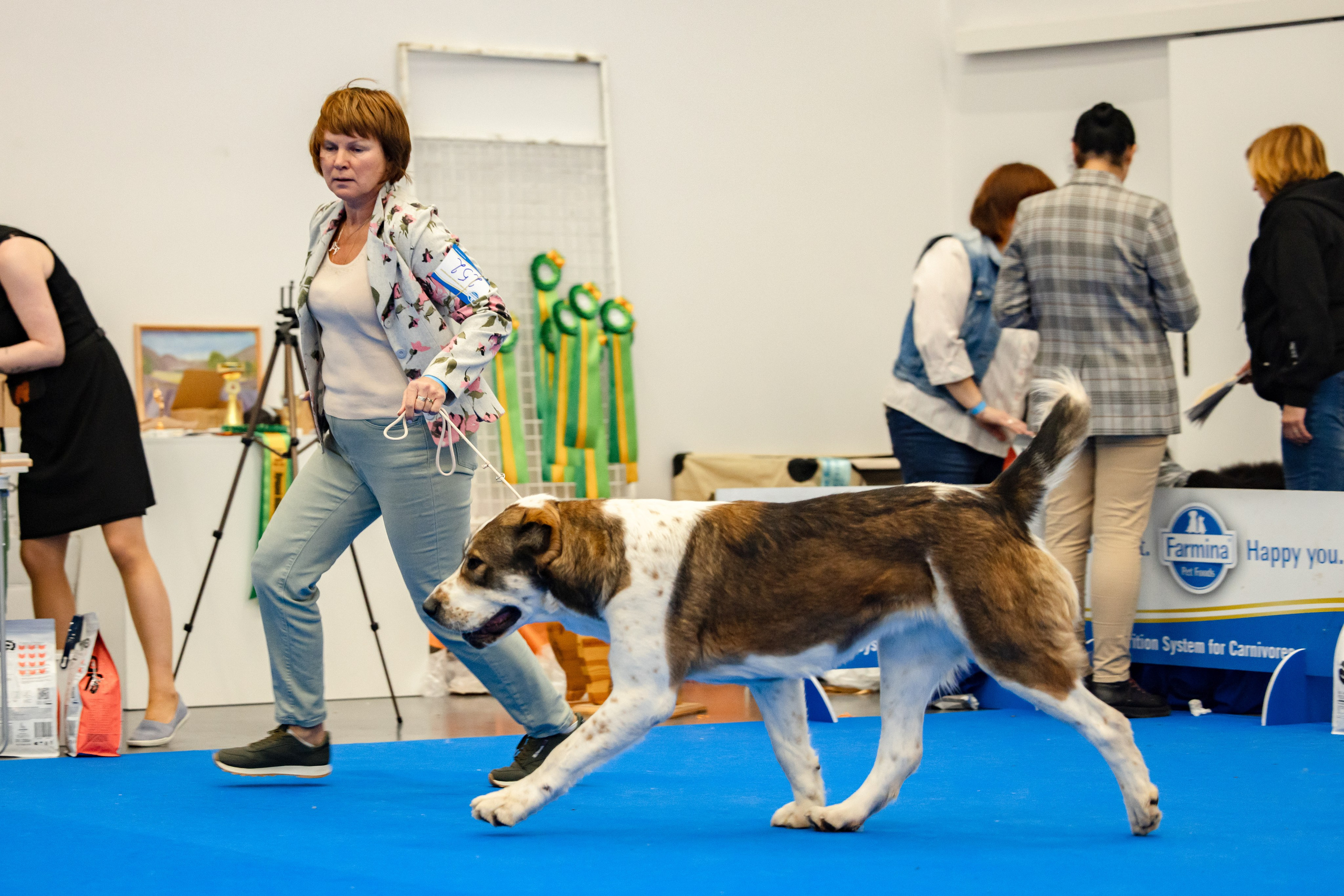 Нижний Новгород 21-22.10.2023. Фотограф-анималист Юлия Германика