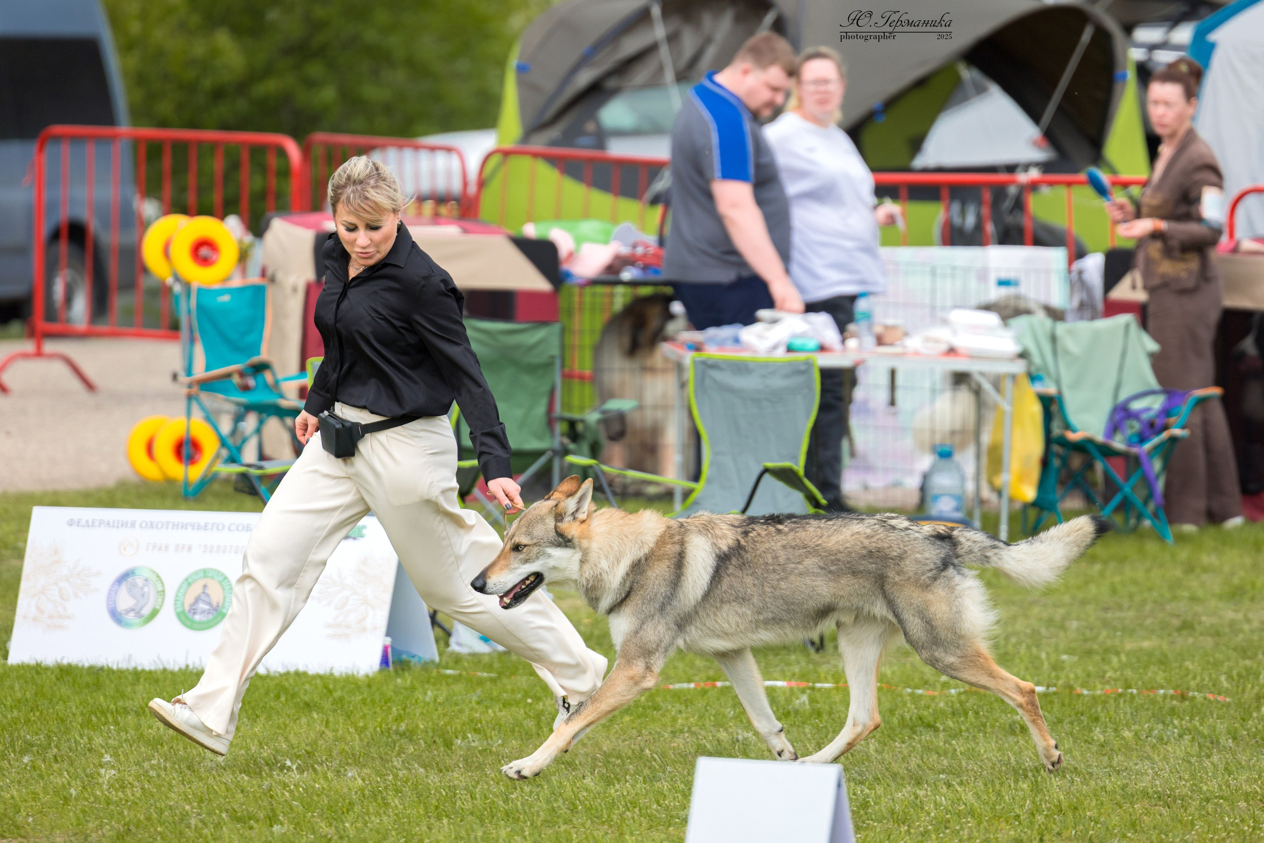 Суздаль(Владимир)17-18.05.2025. Фотограф-анималист Юлия Германика