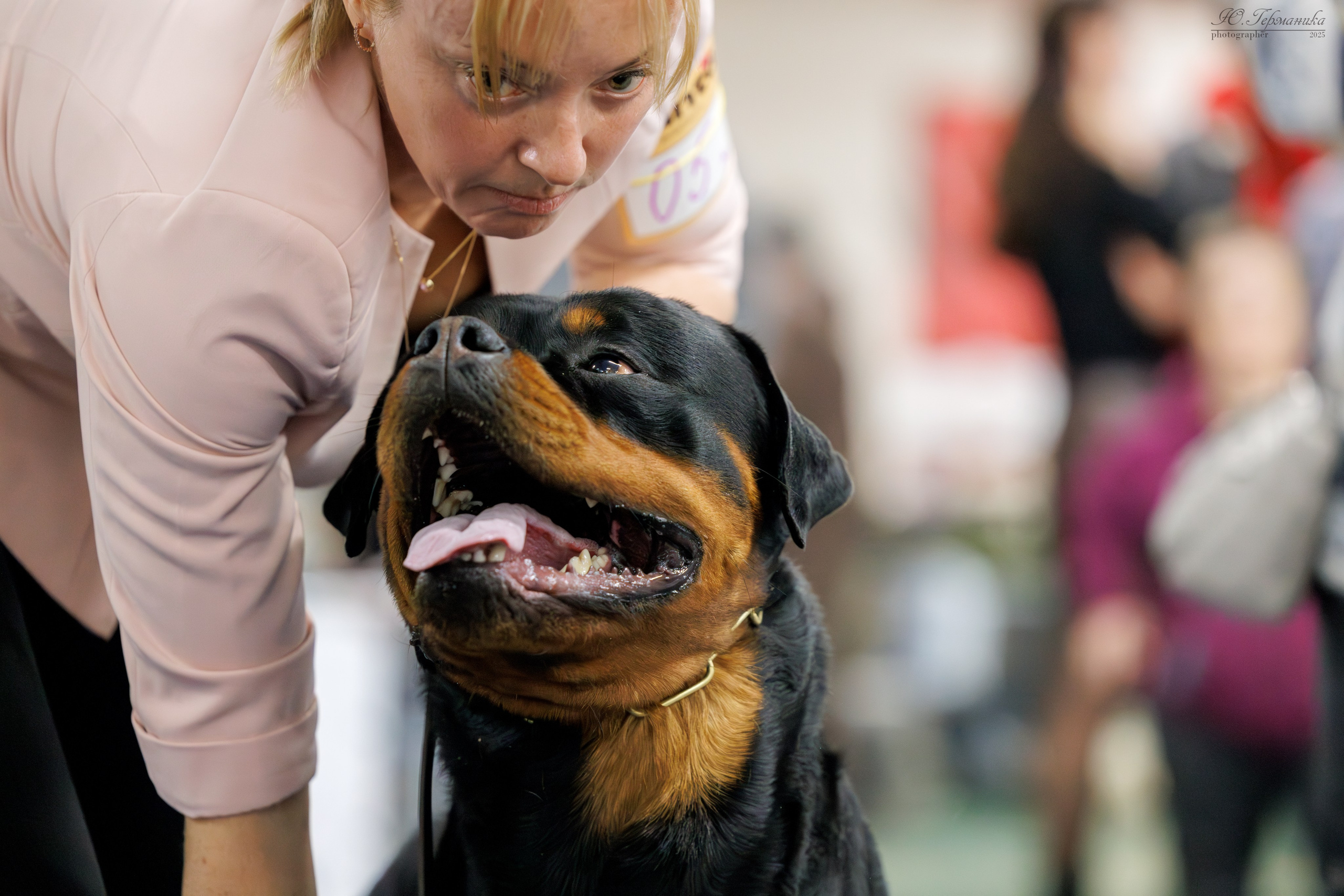 Сфера и Крокус 8,9,16 и 30.03.2025. Фотограф-анималист Юлия Германика