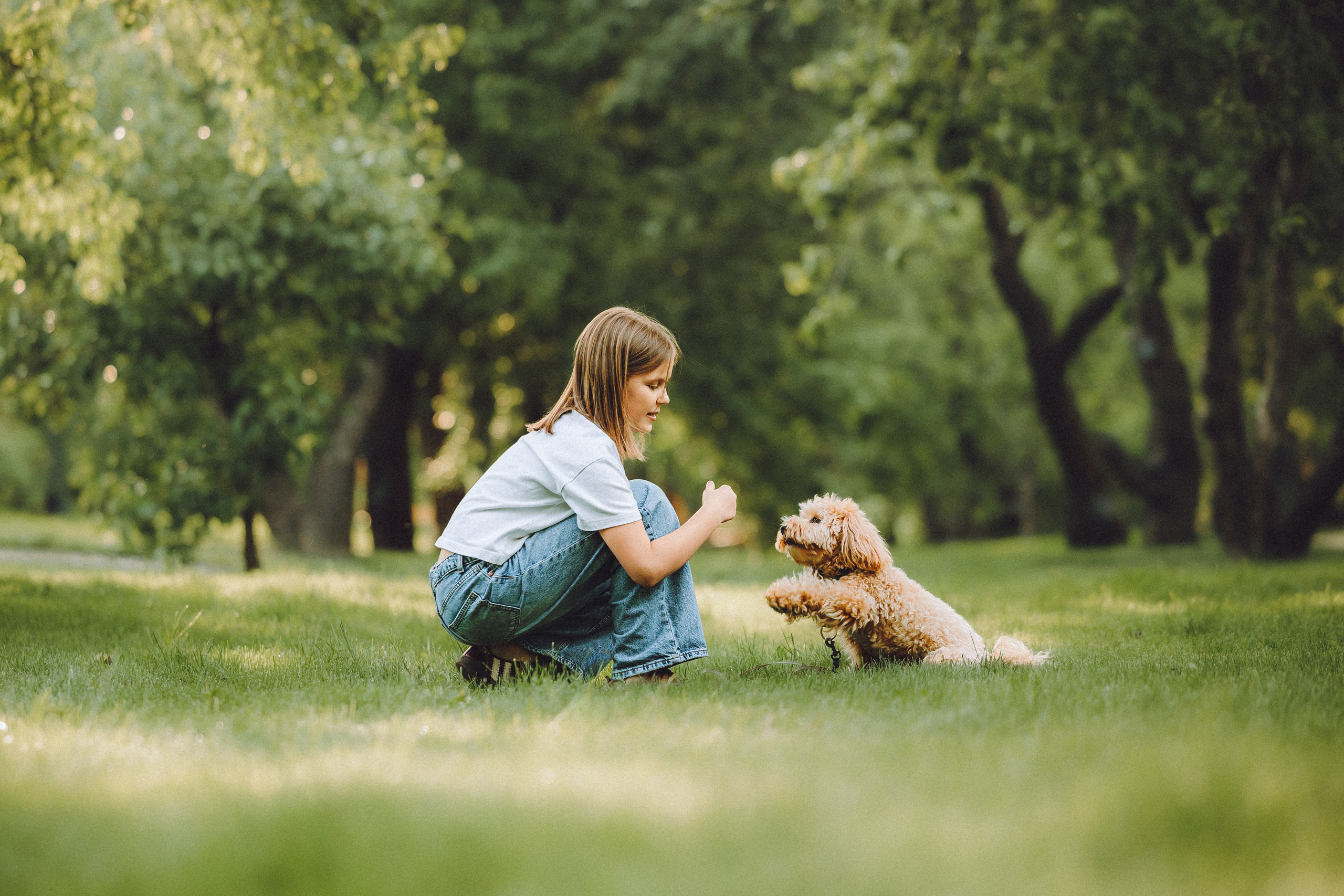 Фред и его семья