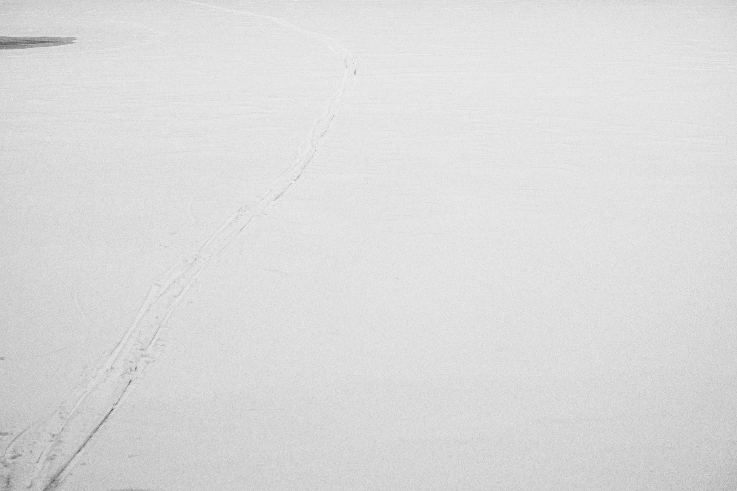 Декабрь. Портретный и архитектурный фотограф в Москве и Санкт-Петербурге