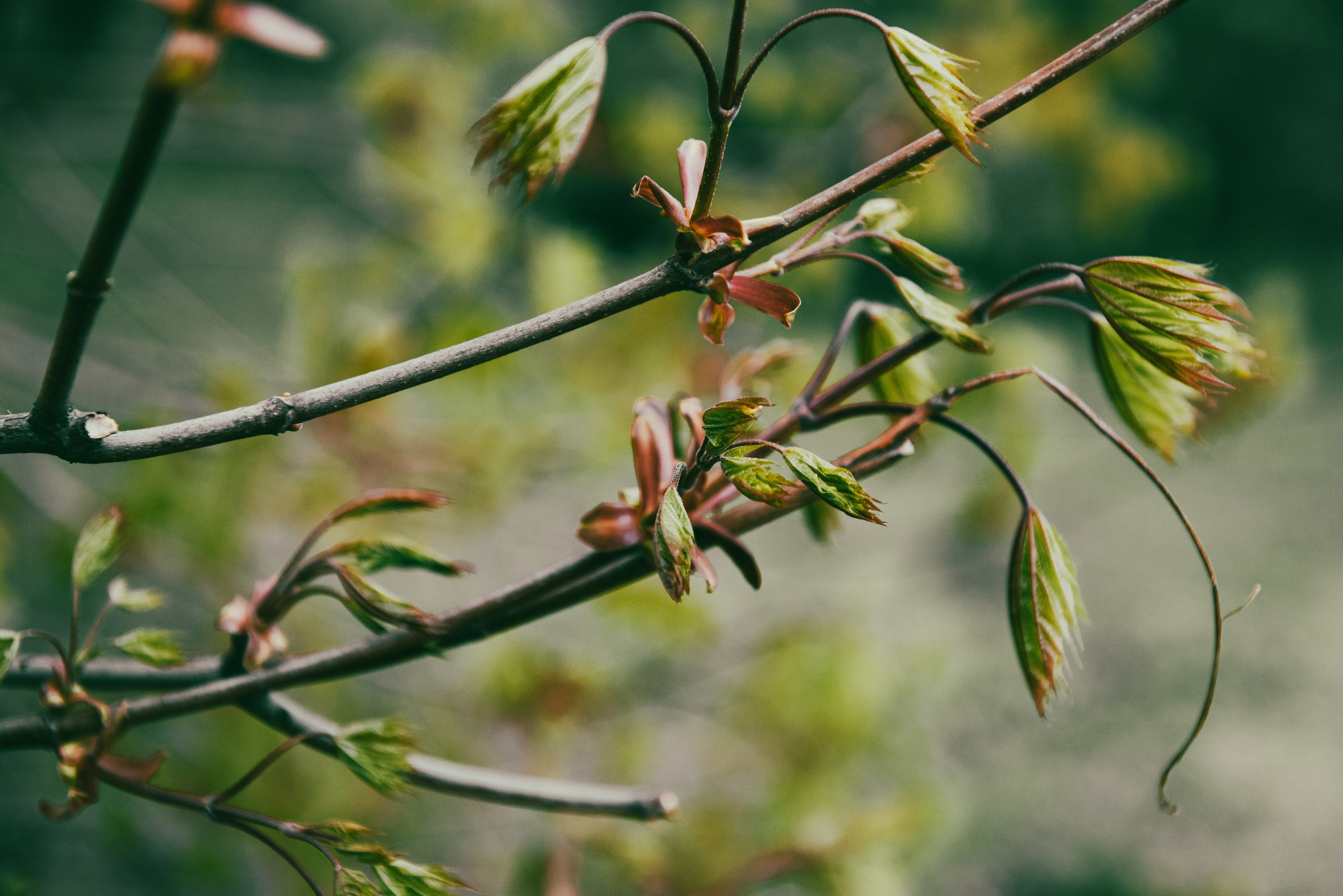 Текстуры апреля. Портретный и архитектурный фотограф в Москве и Санкт-Петербурге