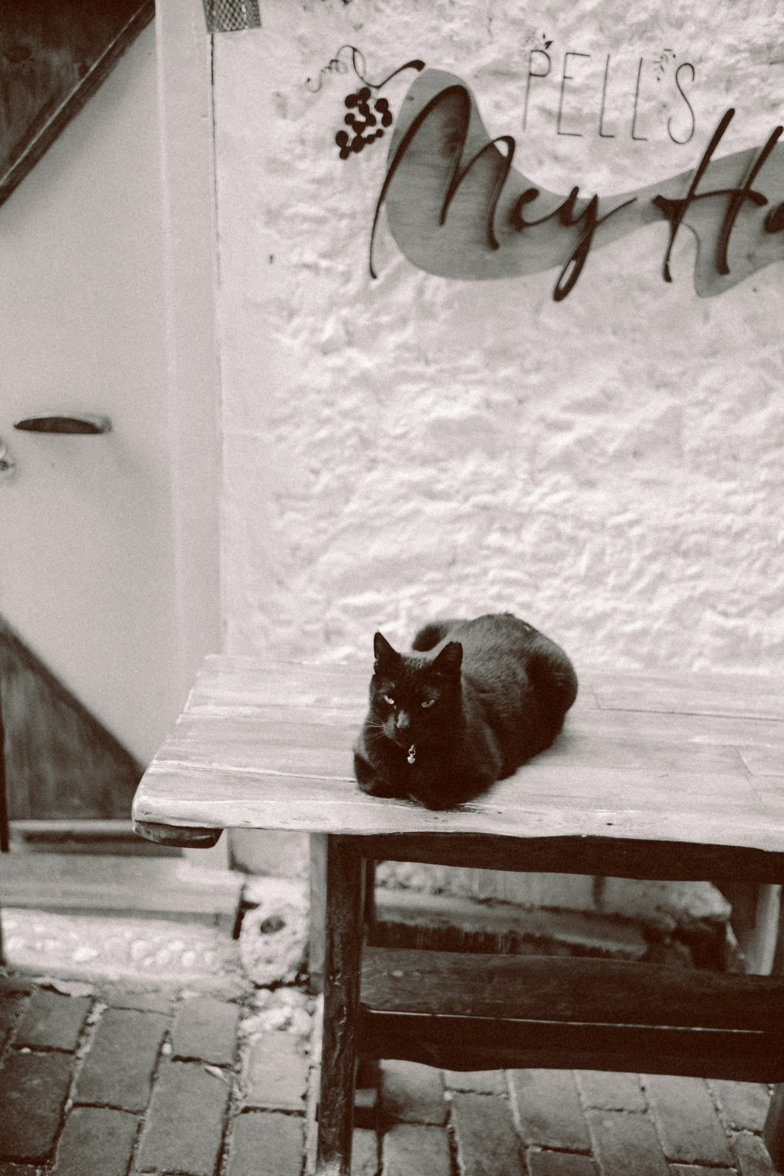 Aliona. Фотограф Ксения Дзюбак Самара-Москва