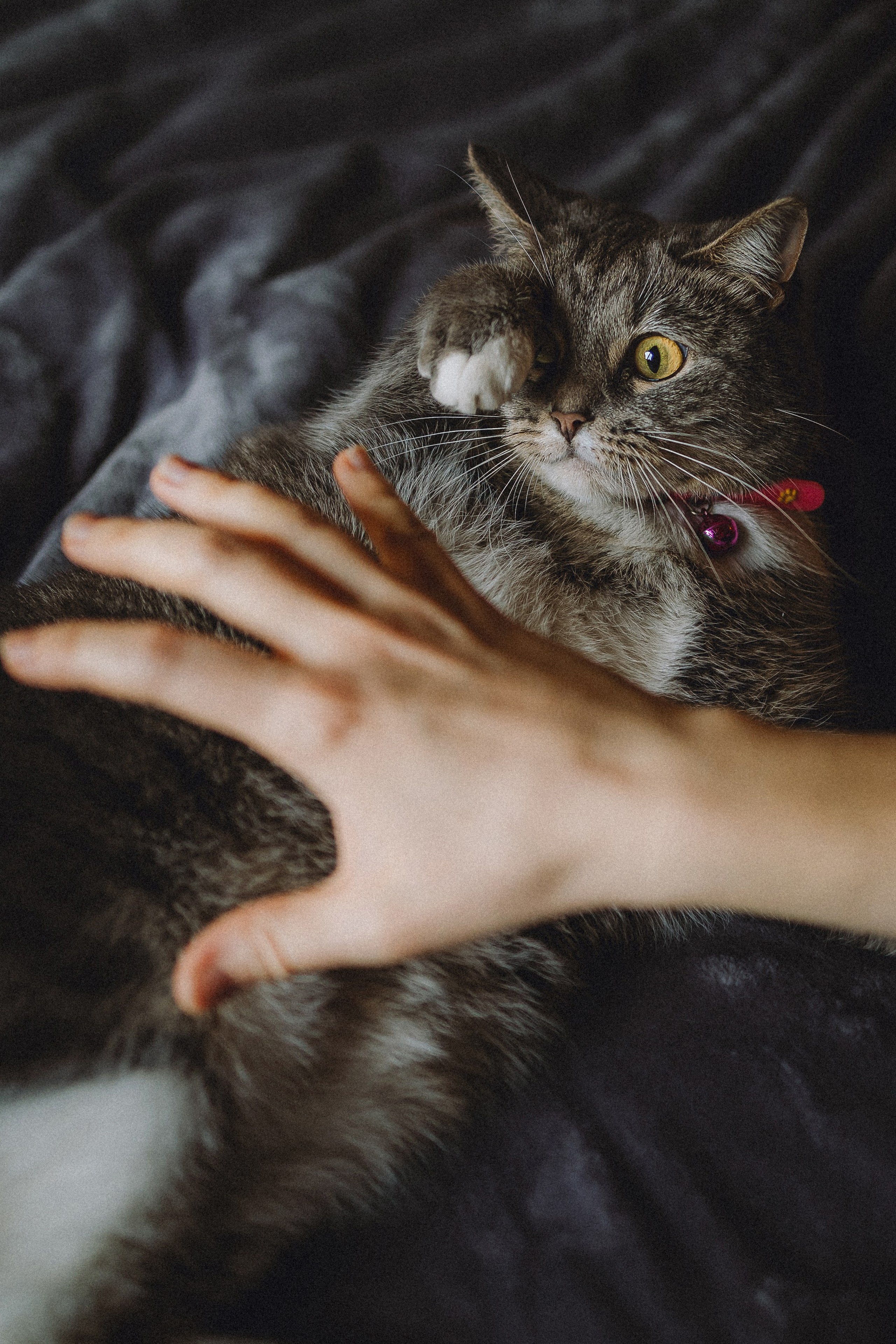 Леброн, Муся и их семья