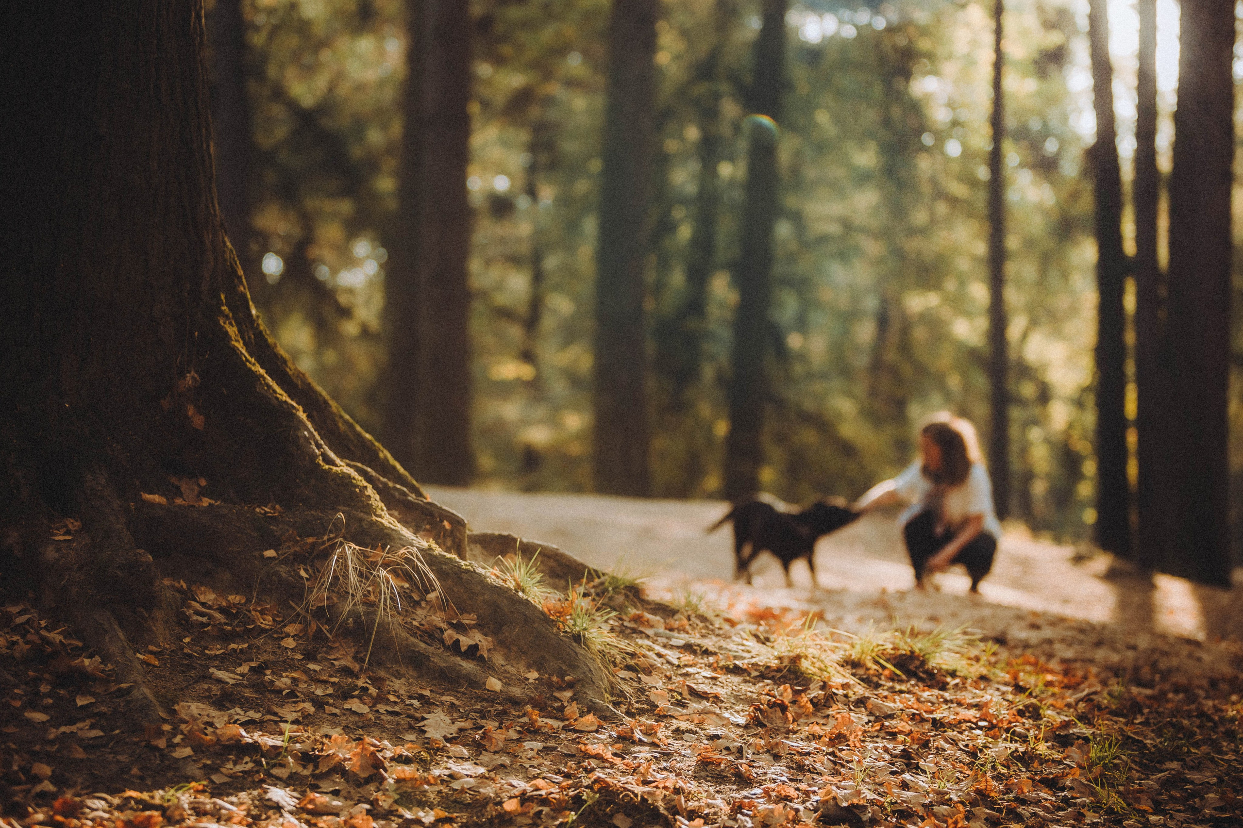 Ксюша, Ваня и Рамона