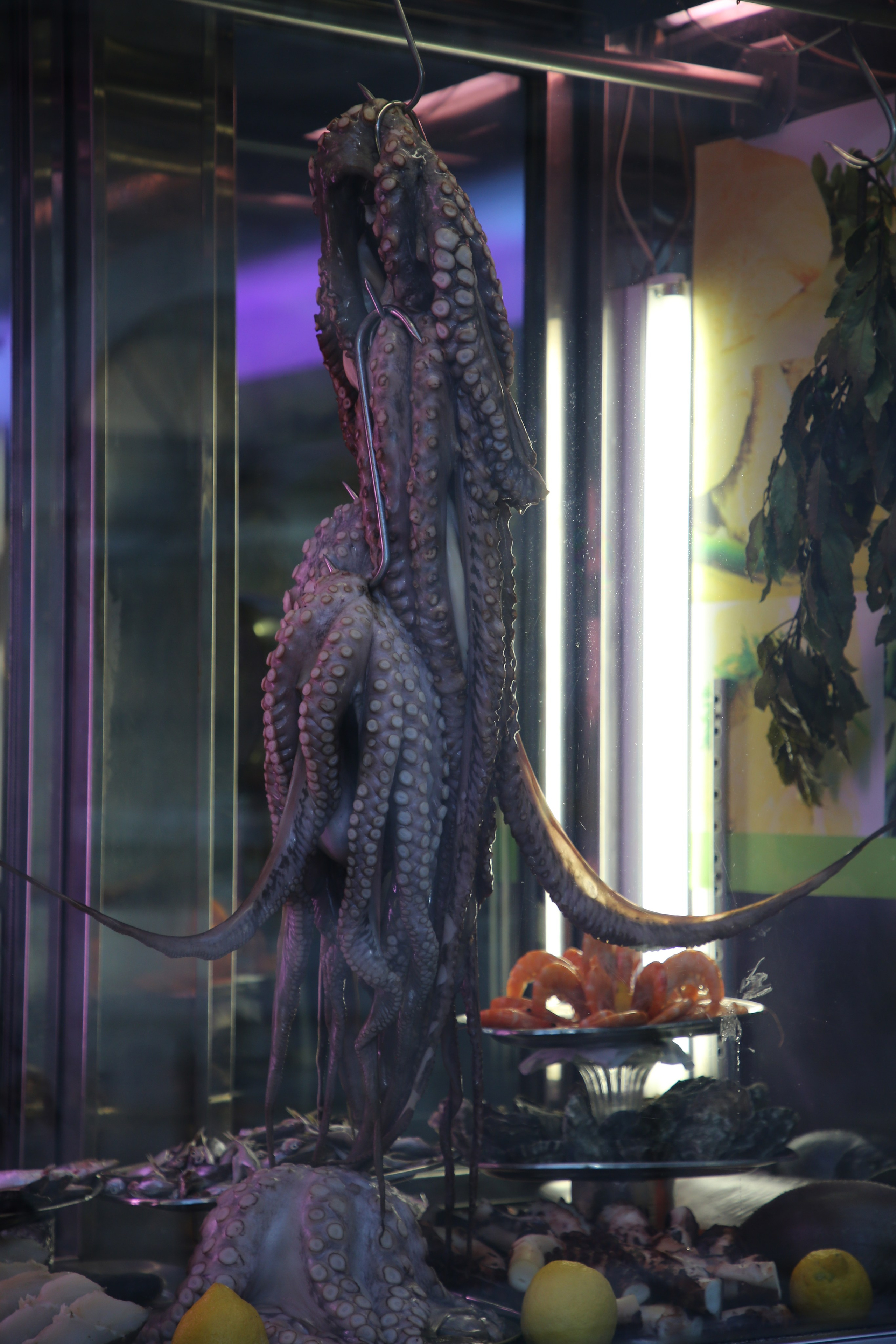 Lisbon, Portugal. Andrey Filippov Photographer