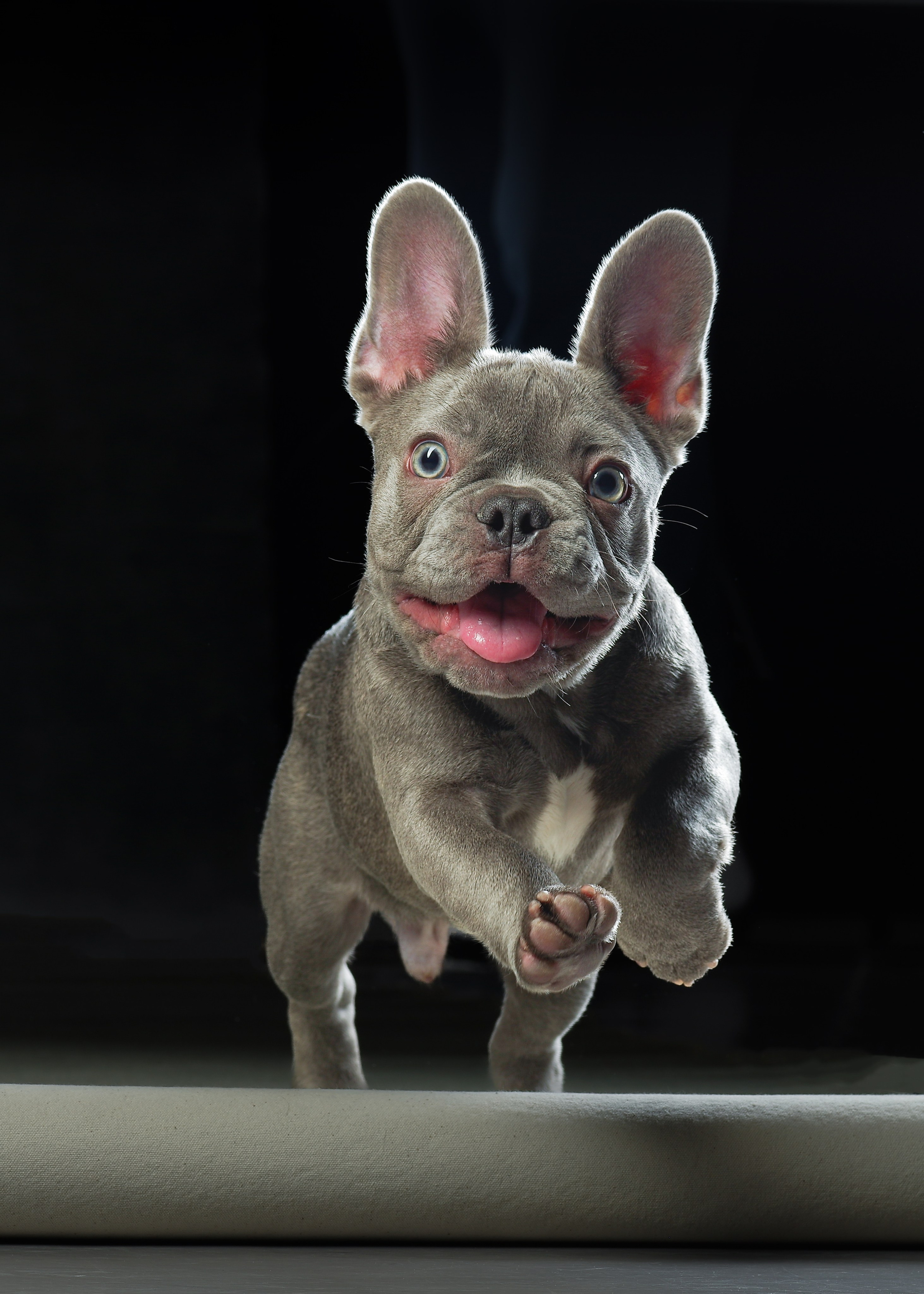 Фото услуги. Фото & Видео студия XIMIYA