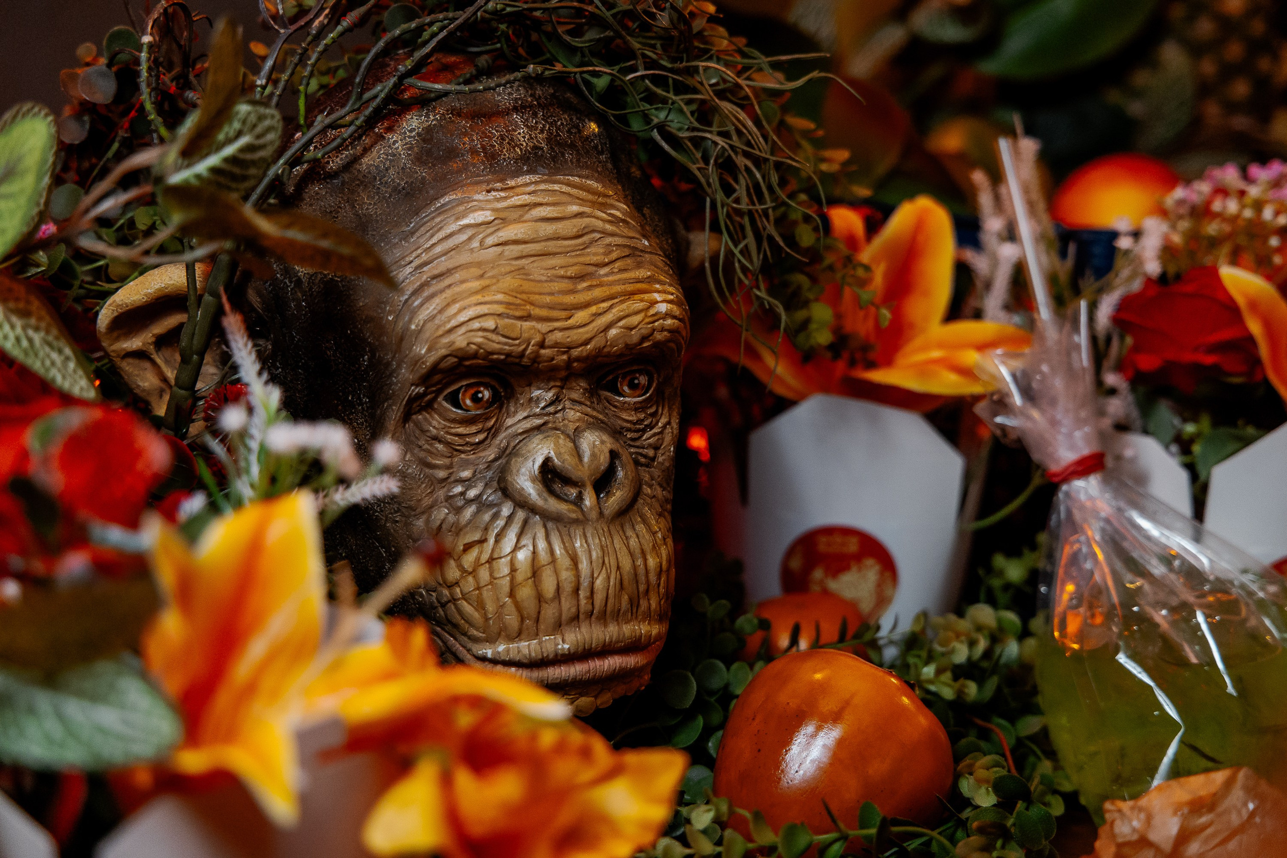 Портфолио мероприятий и людей. Фотограф и Видеограф мероприятий в Москве