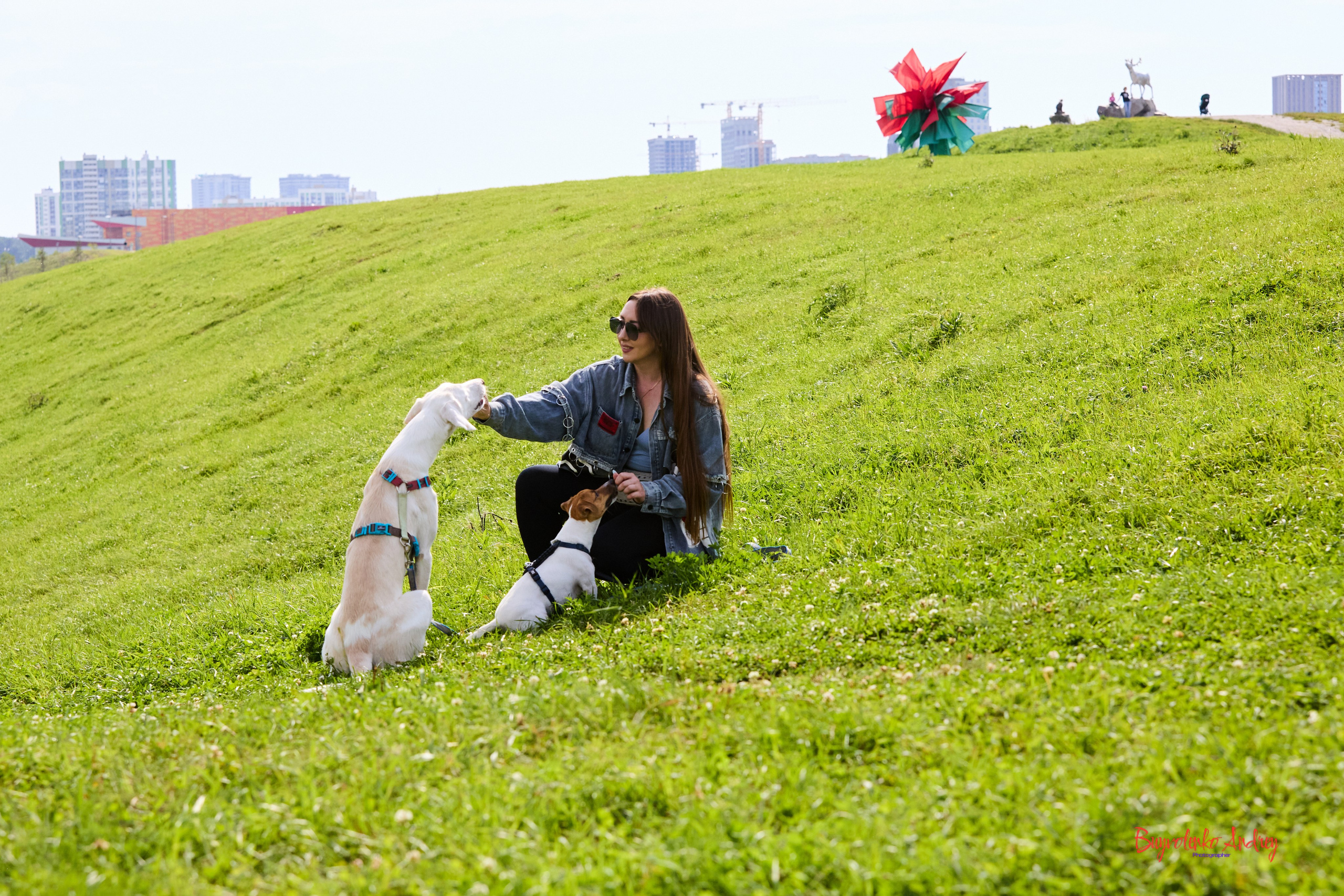 Проект фотопрогулка с хвостиком. Buyvolenko Andrey