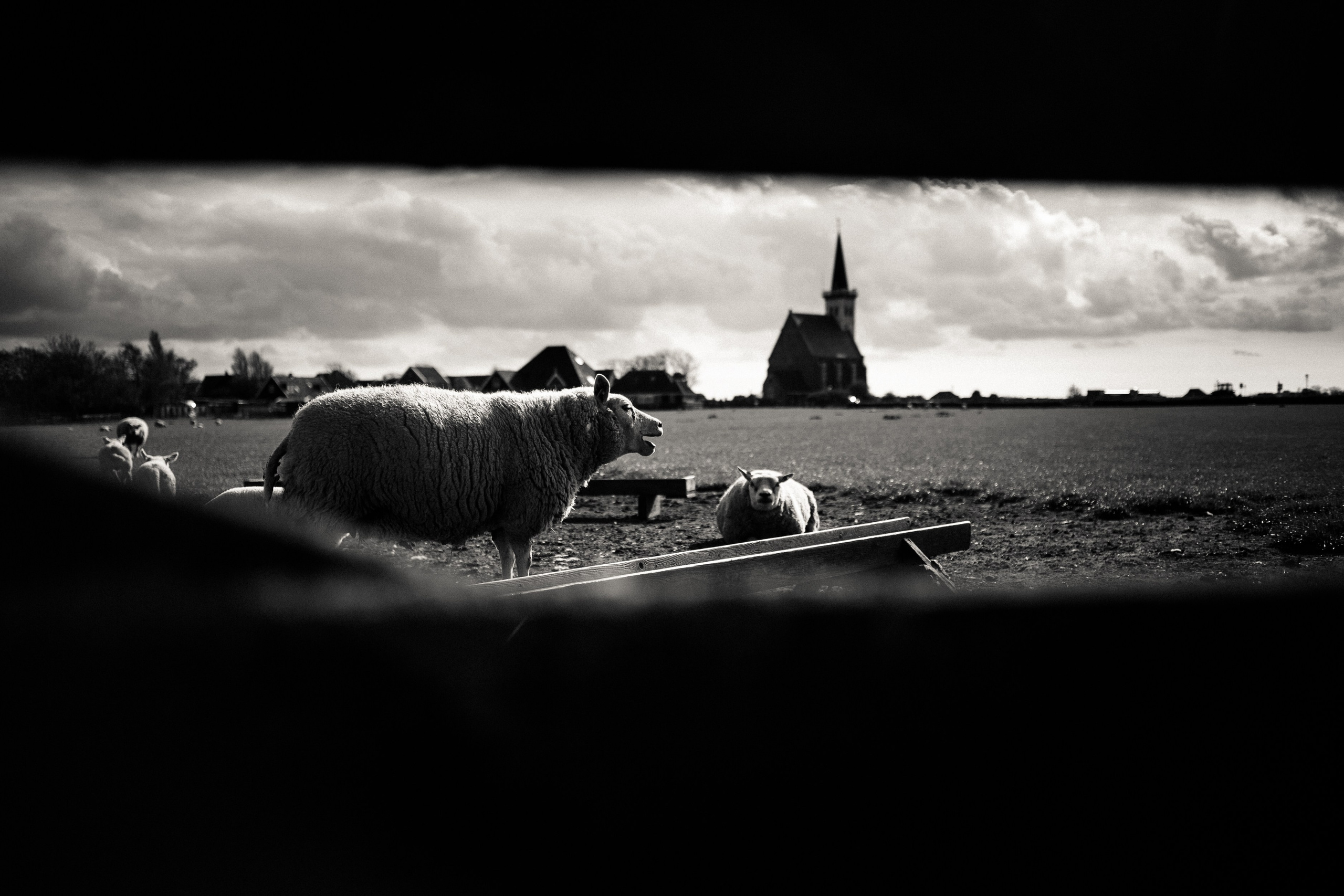 Жанровая фотография. Nastya Marchenko — based in Moscow Art and Documentary photographer. Works with memory, revelation, vulnerability & human states worldwide