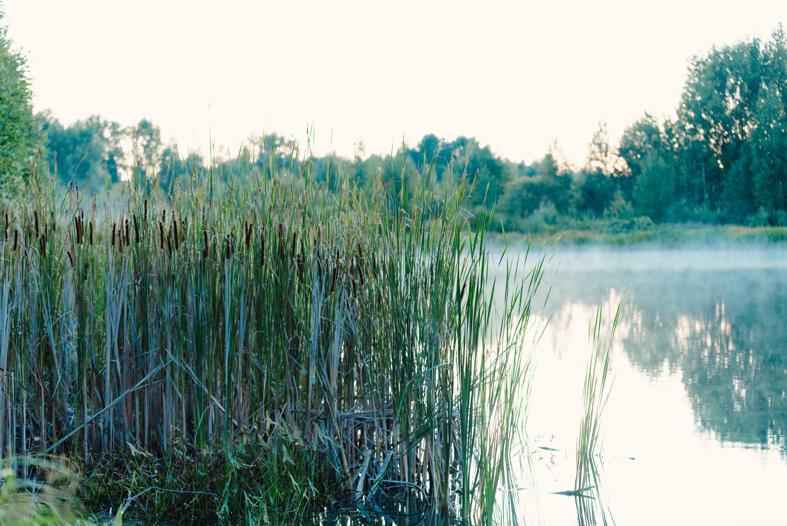 Лето. Фотограф в Ветлуге Сергей Белов (VETLUGA B.S.)