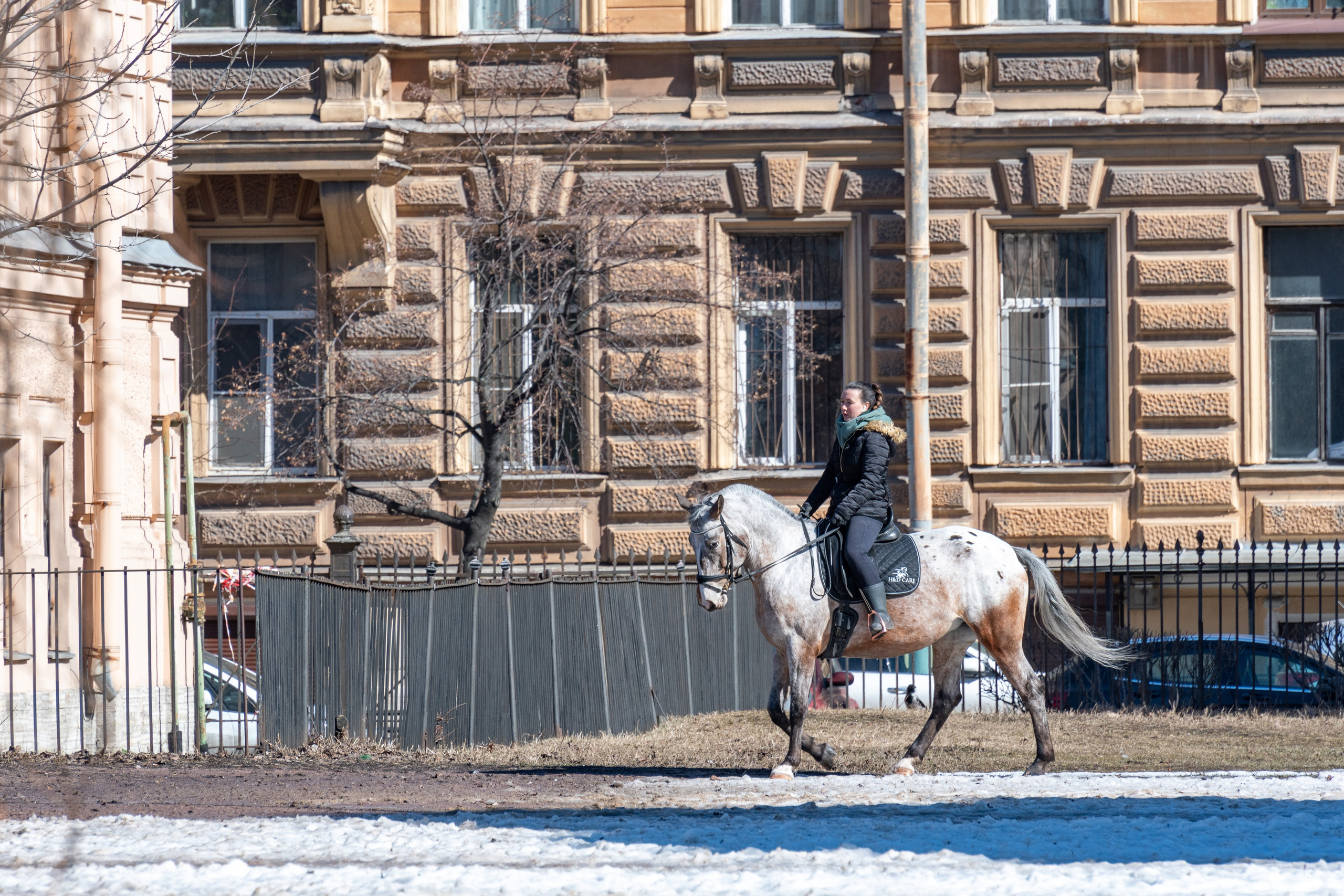 20220411-16 Санкт-Петербург. Дмитрий Ремизов. Фотография, как хобби