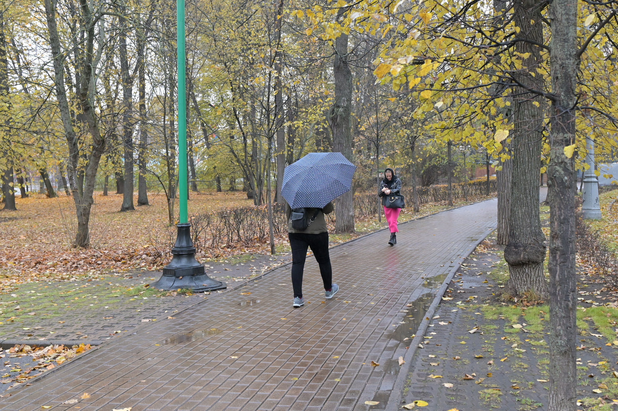 20241026 Сокольники. Дмитрий Ремизов. Фотография, как хобби