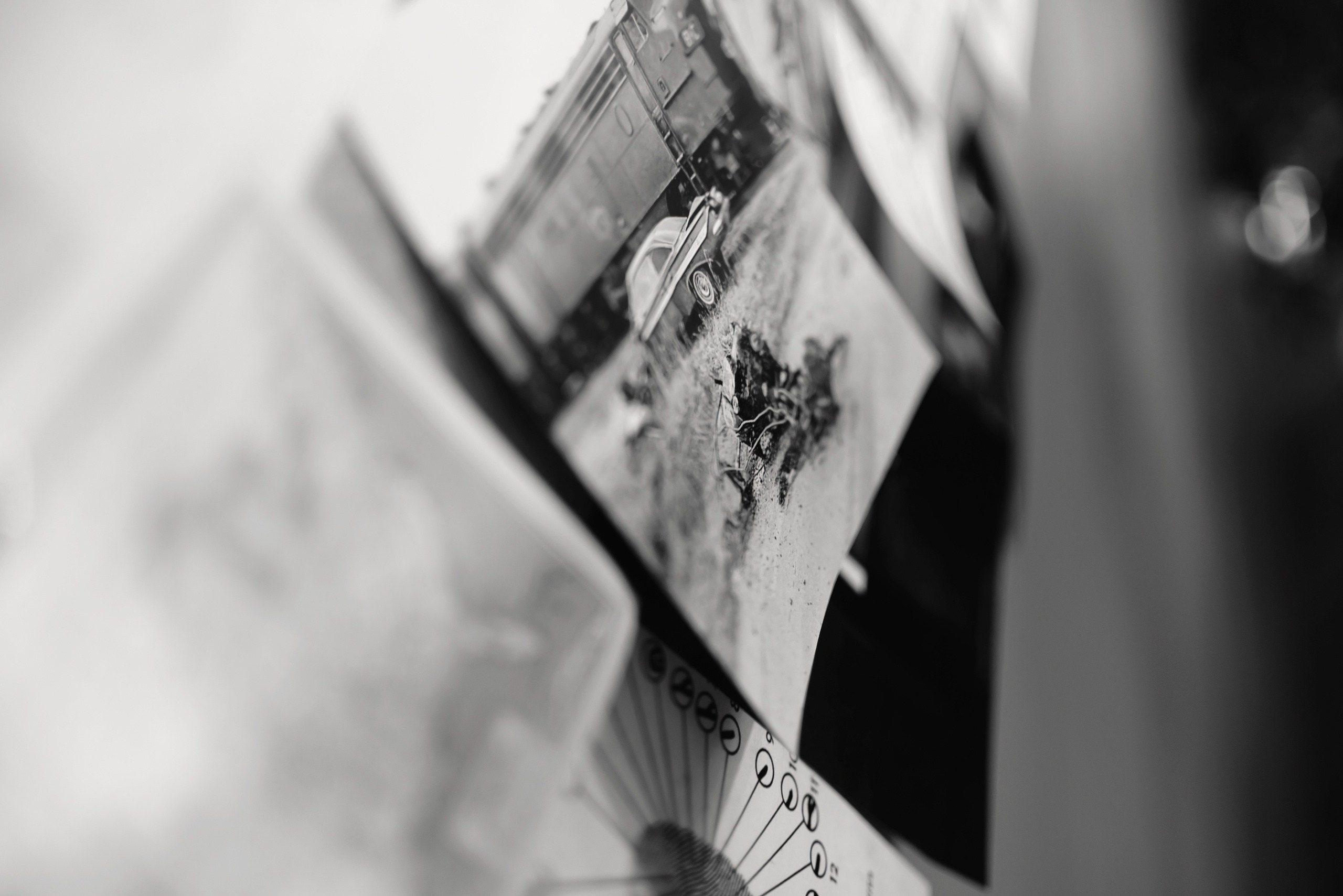 Фото: Артем и Анна Приходько 