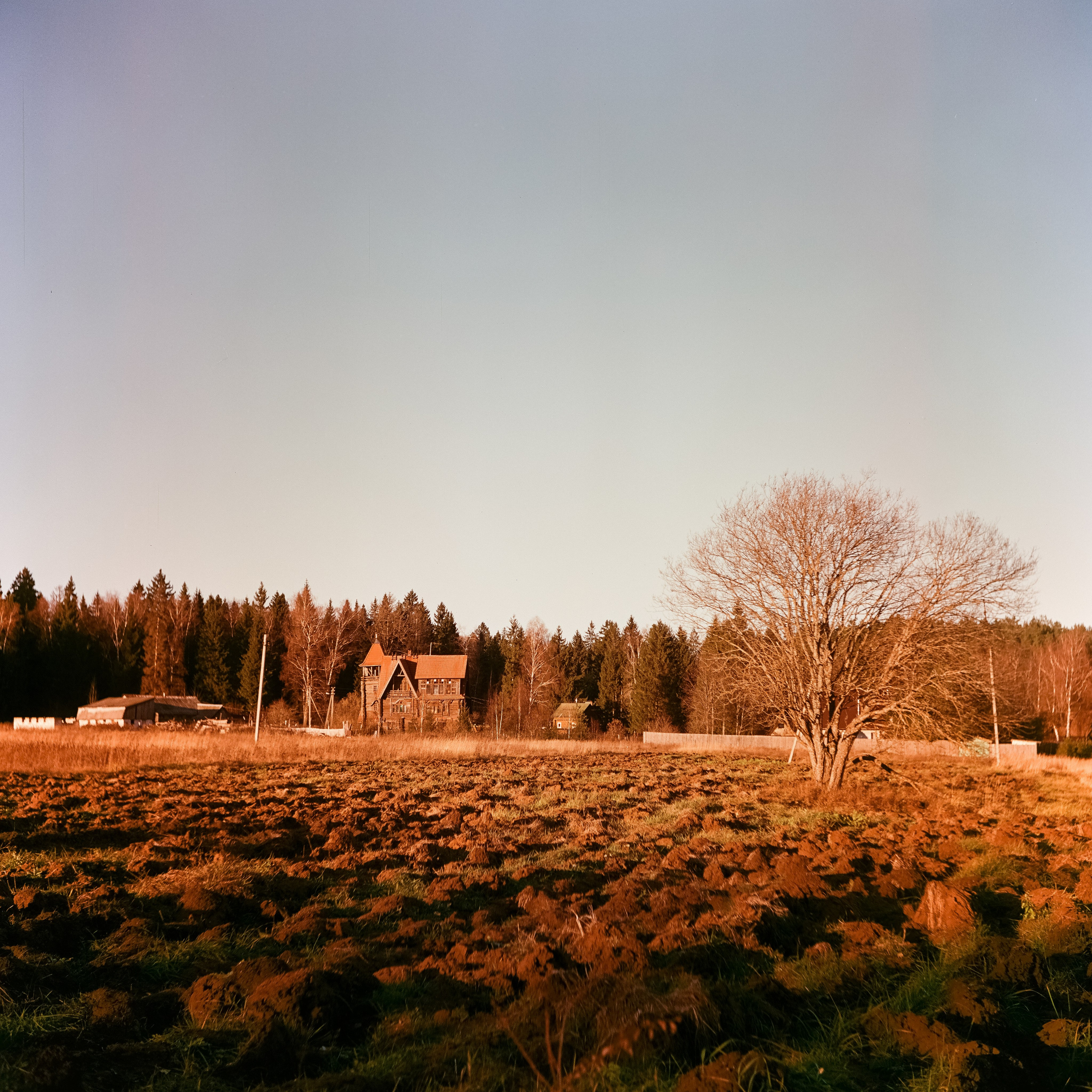 Белоконь Алексей. Фотография на пленку. Семья и путешествия