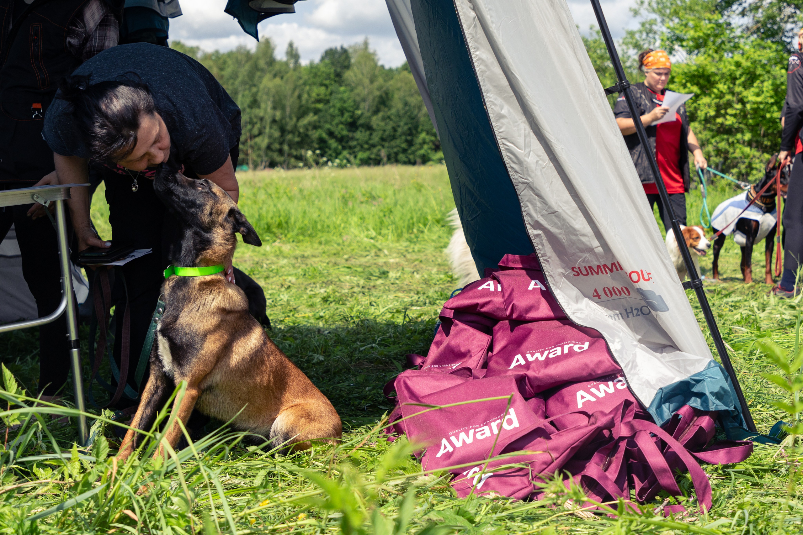 ДПСО «ЛизаАлерт». Главная