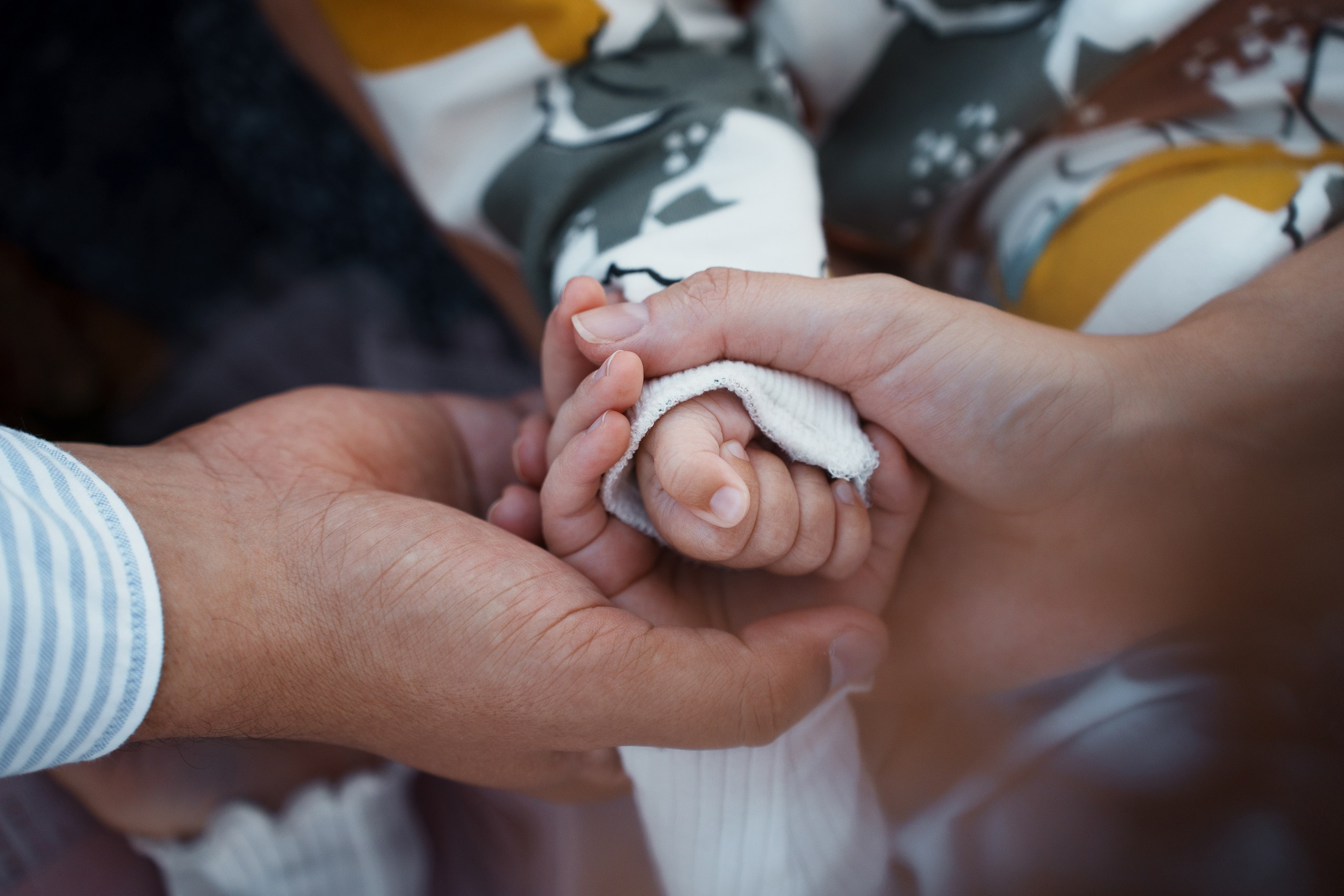 Золотая осень в Новосибирске: Семейный фотосет в парке (Мама, Папа, Дети). Фотограф Дарья Едапина Новосибирск
