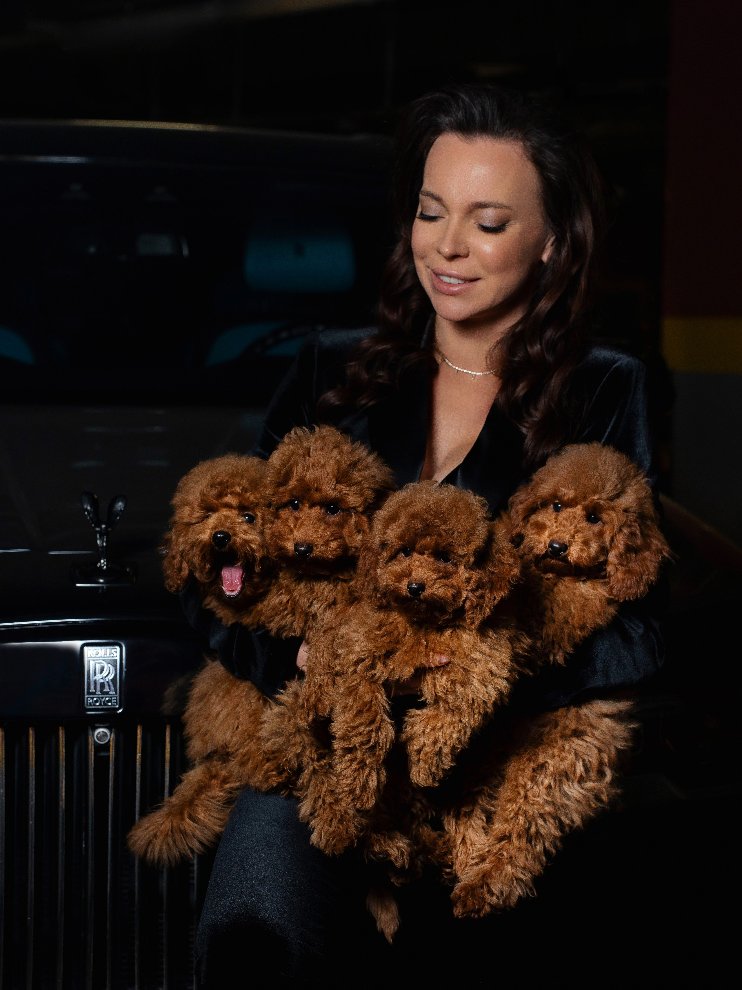 Rols Dogs. Портретный фотограф Москва Белогорцев Сергей