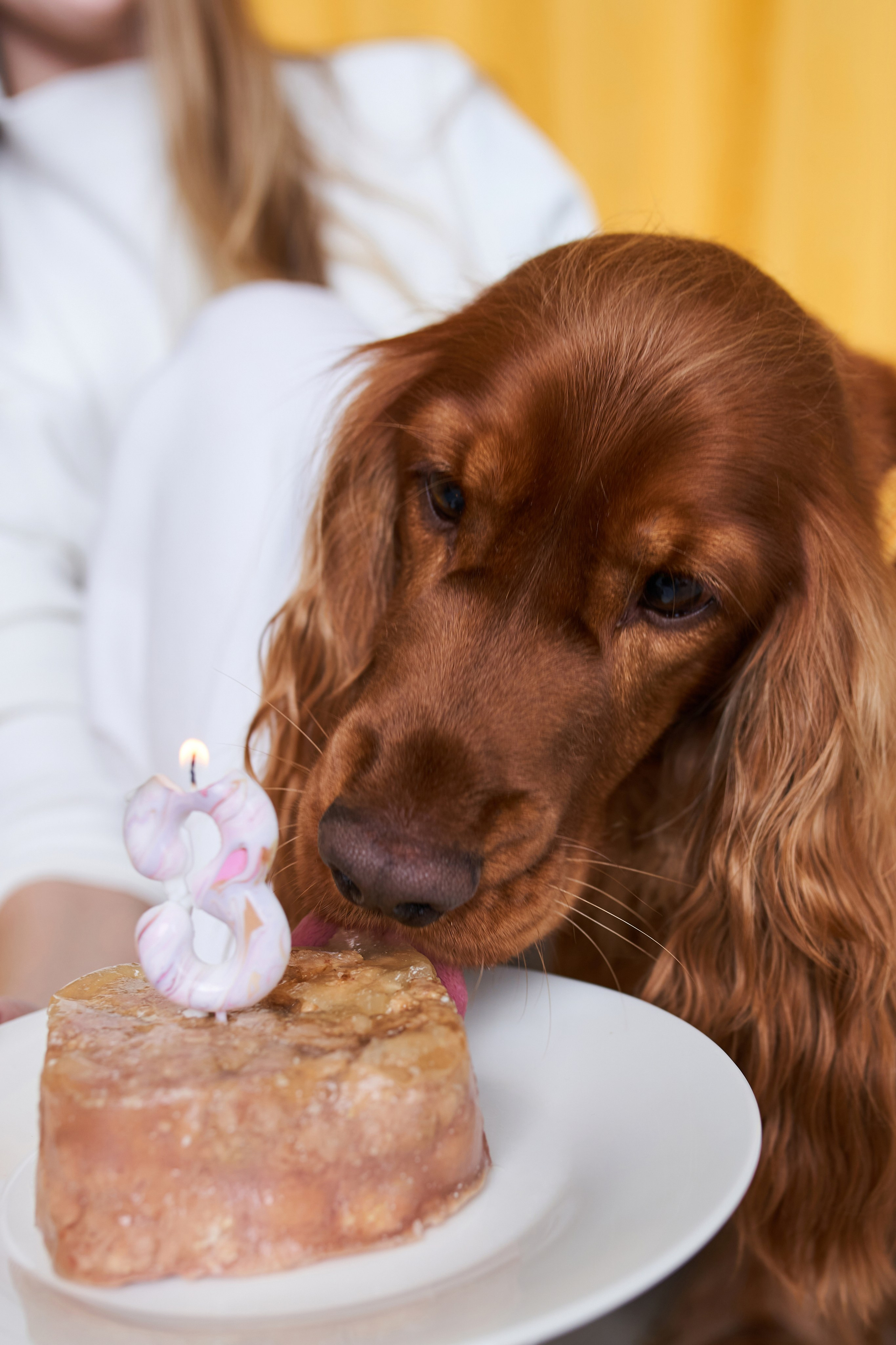 Галя и Гриша. Фотограф Александра