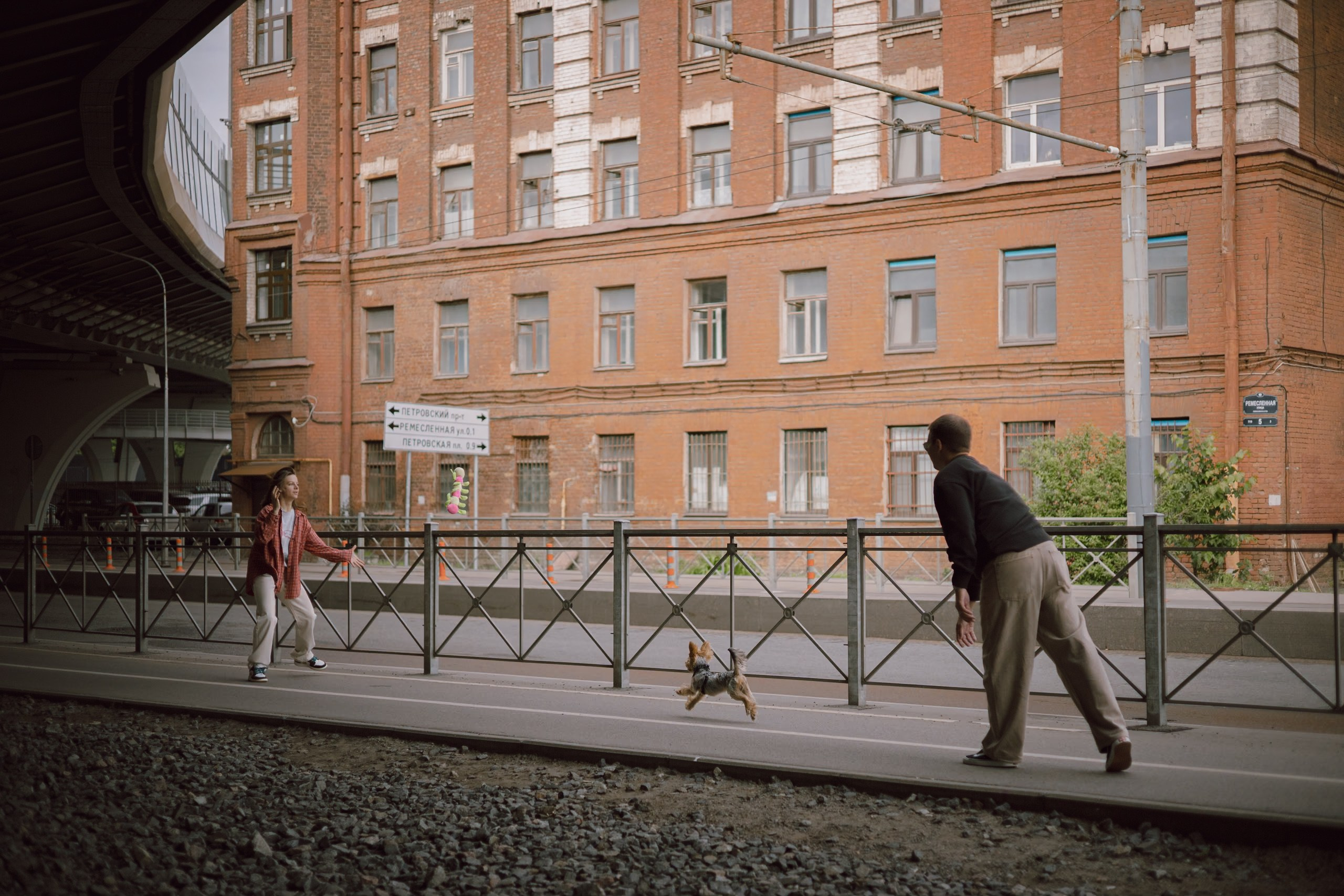 Андрей, Аня и Персик. Фотограф — анималист •love-story•|Санкт-Петербург