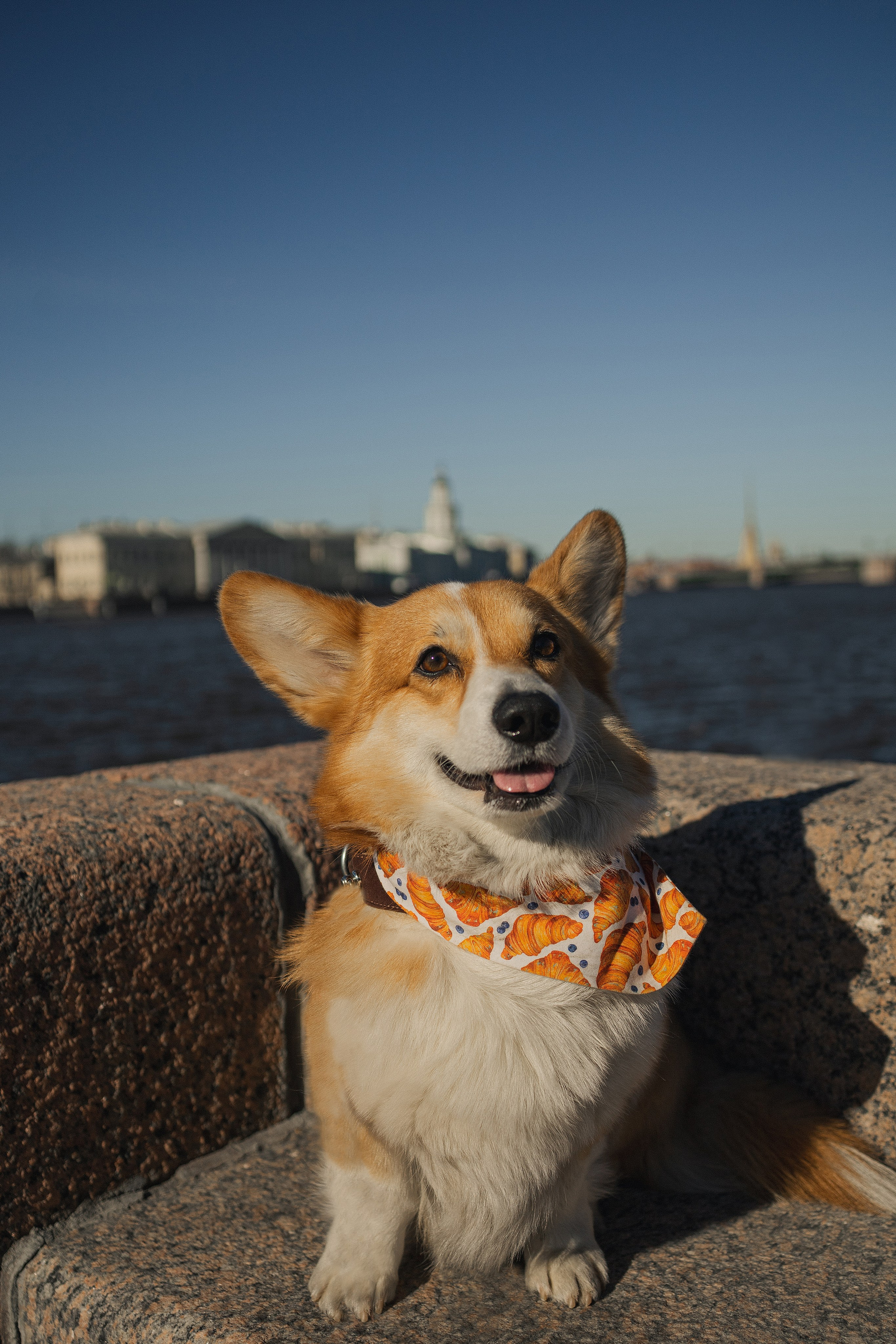 Елена & Мартин. Семейный фотограф Питер •love-story•|Санкт-Петербург