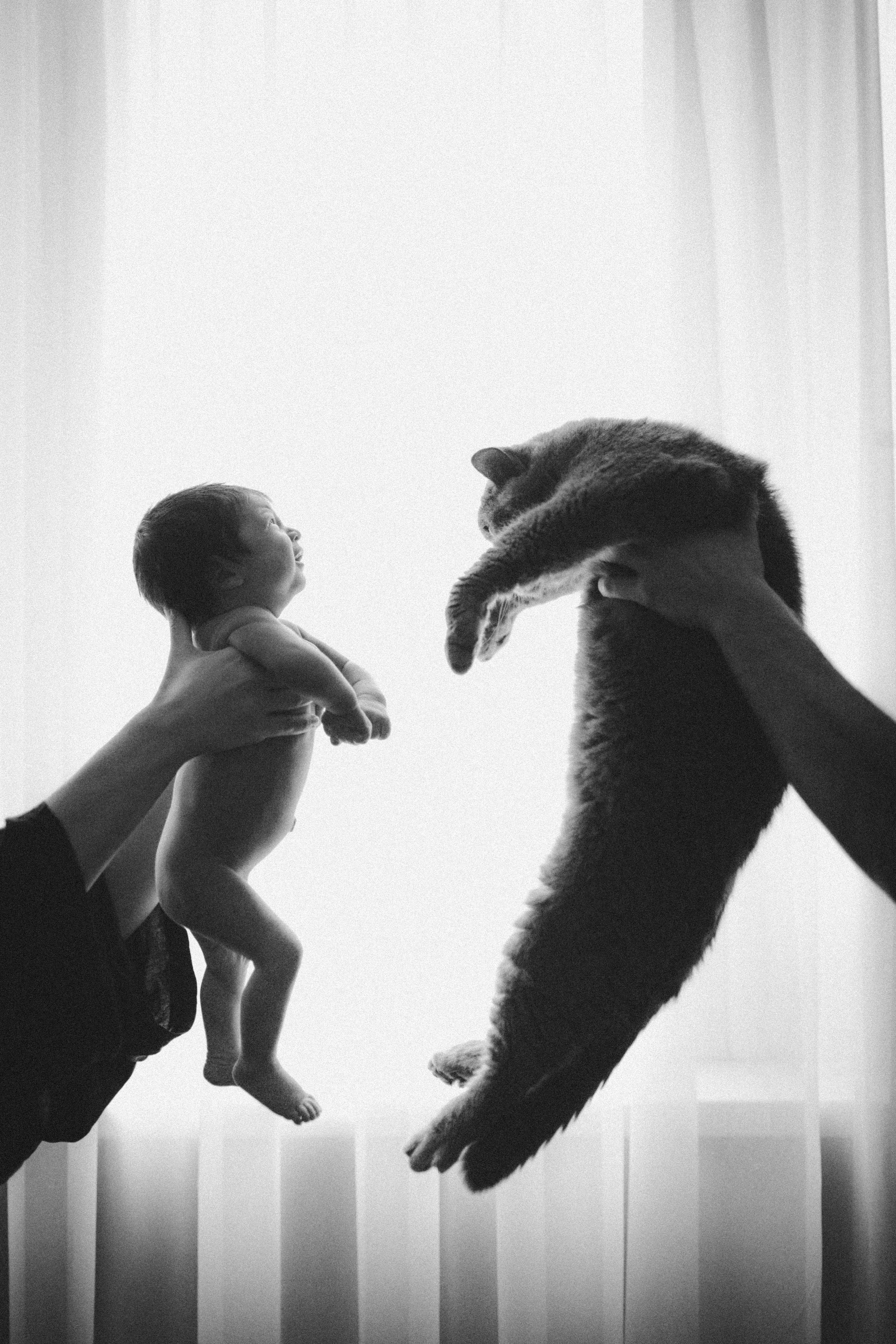 Вика, Вова и Федя. Семейный фотограф и фотограф на роды в Ростове-на-Дону Мухина Виктория