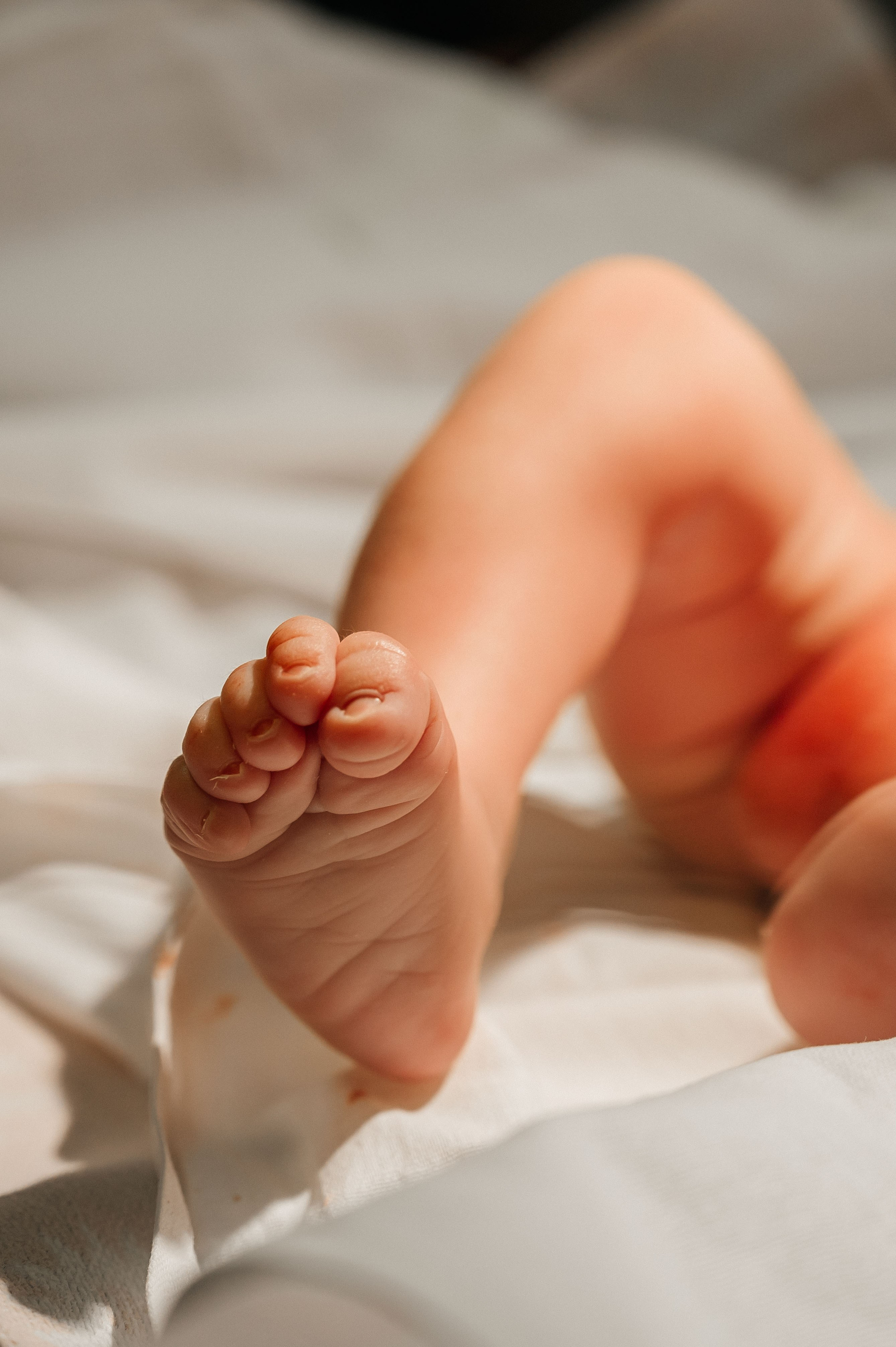 Лев родился. Фотограф на роды СПБ Юлия Герасимова