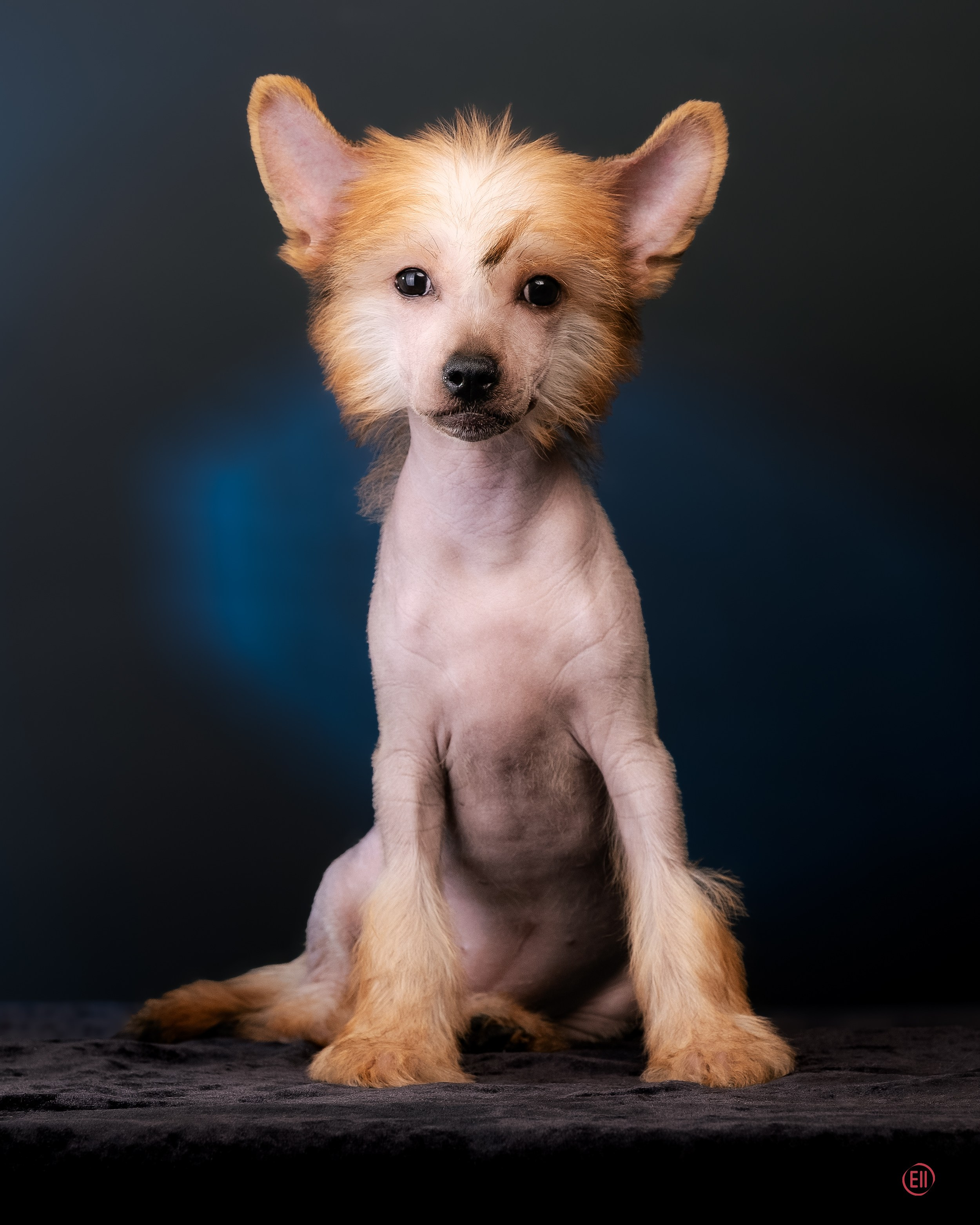 07.06.2025 Синяя фотосессия. Фотограф в Москве