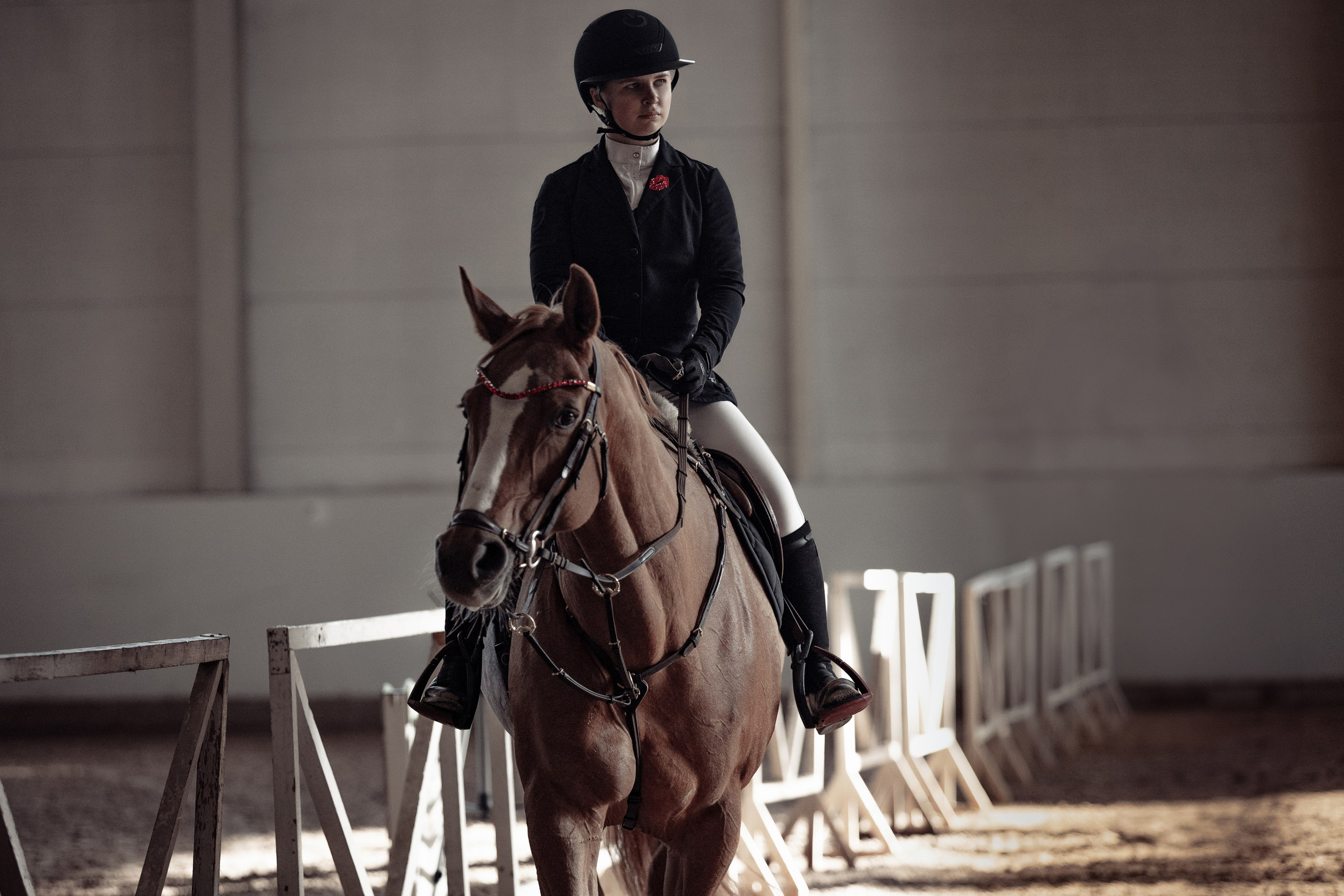 Лошади Евы Демидовой. Ева Демидова. Спортсмен по конкуру в Санкт-Петербуре