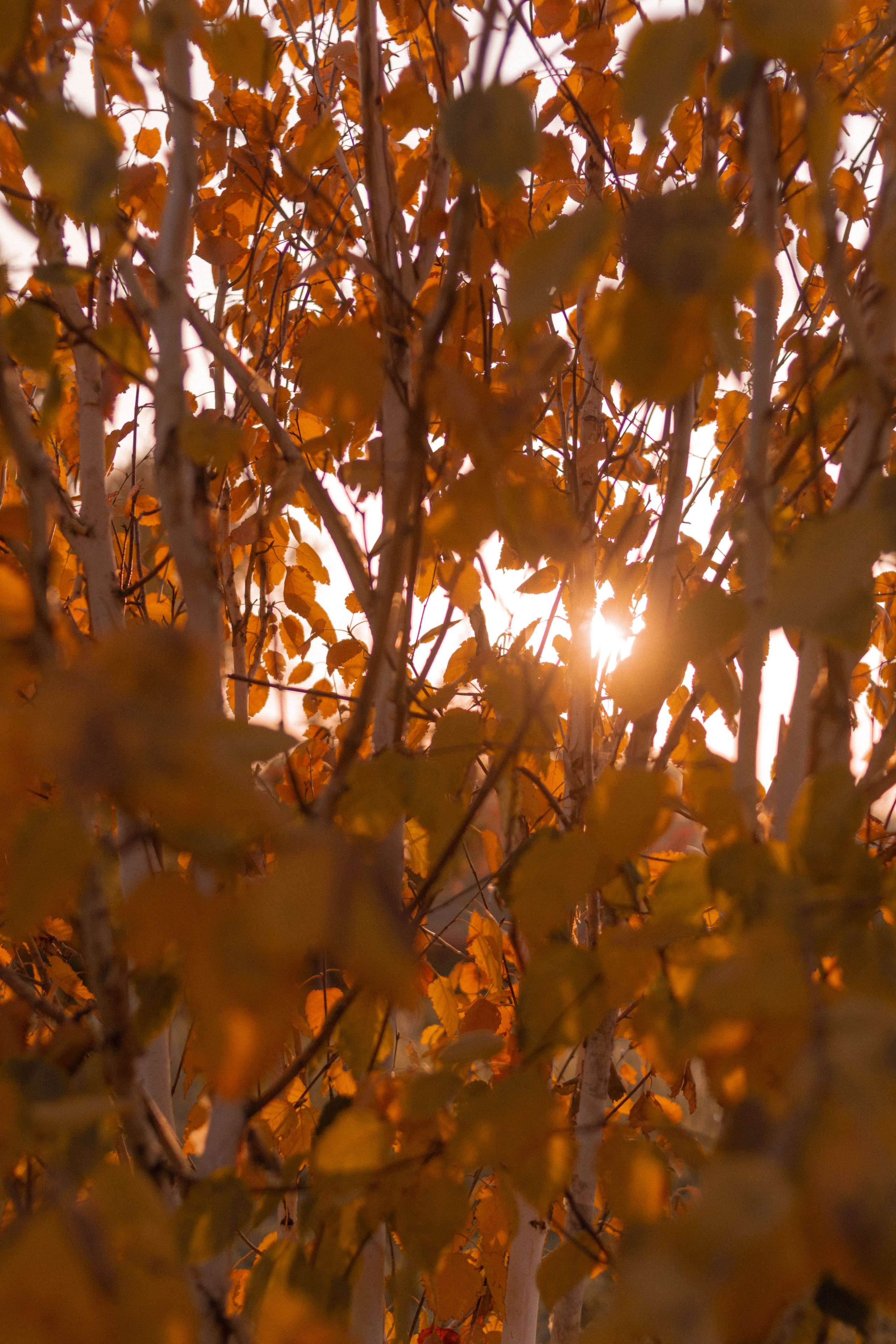 Визуальный дневник. Репортажный фотограф в Алматы Цой Сергей