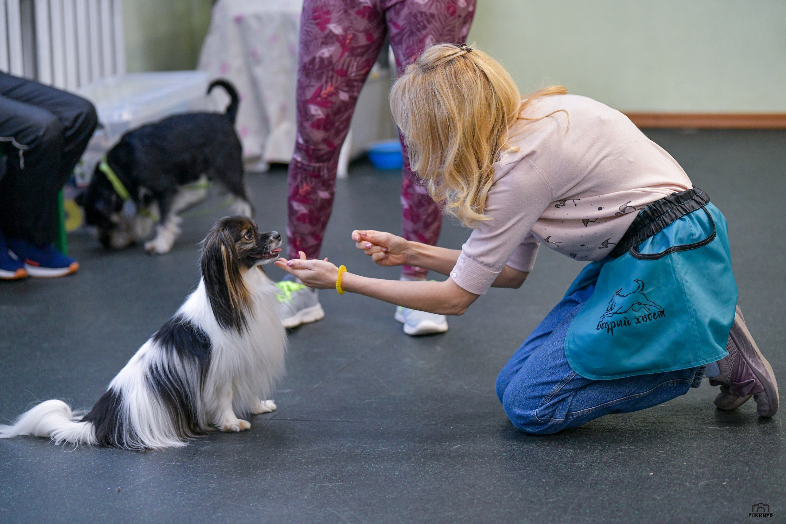 Кинологический клуб «Бодрый хвост». Свой взгляд через объектив