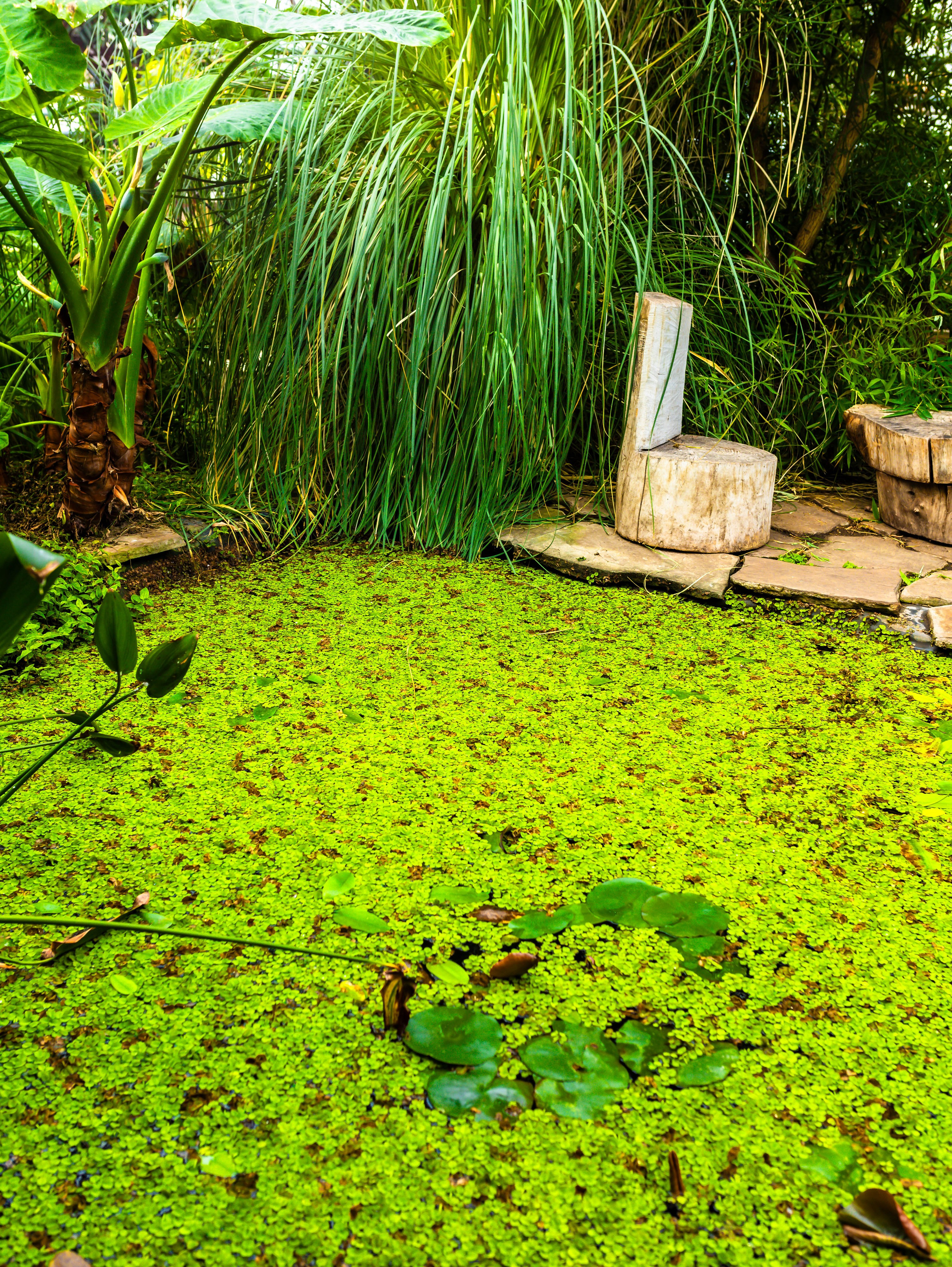 Фотографии природы Липецка. Свадебный и семейный фотограф Виолетта в Липецке