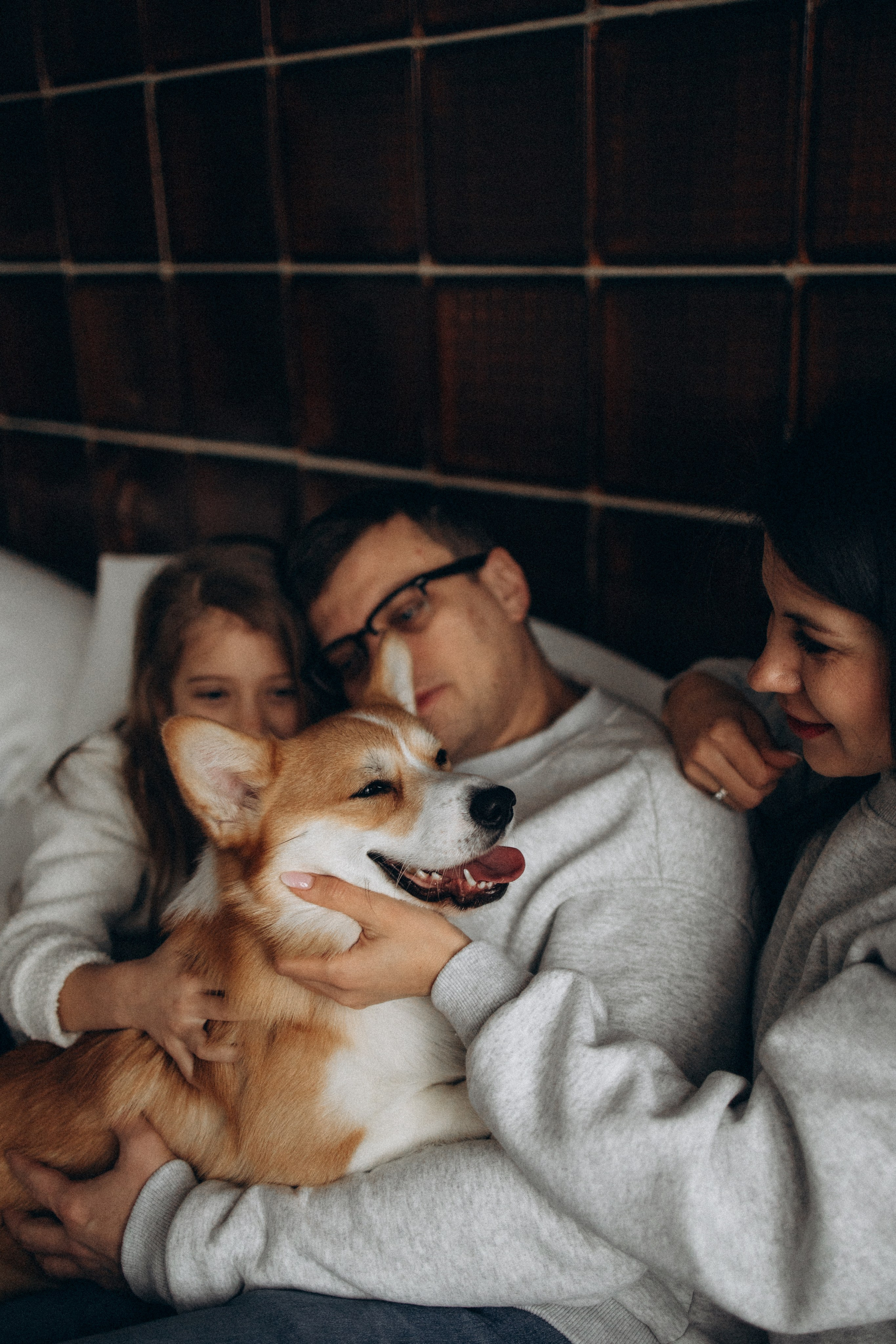 Зевс и его семья. Фотораф — анималист Мария Шистка