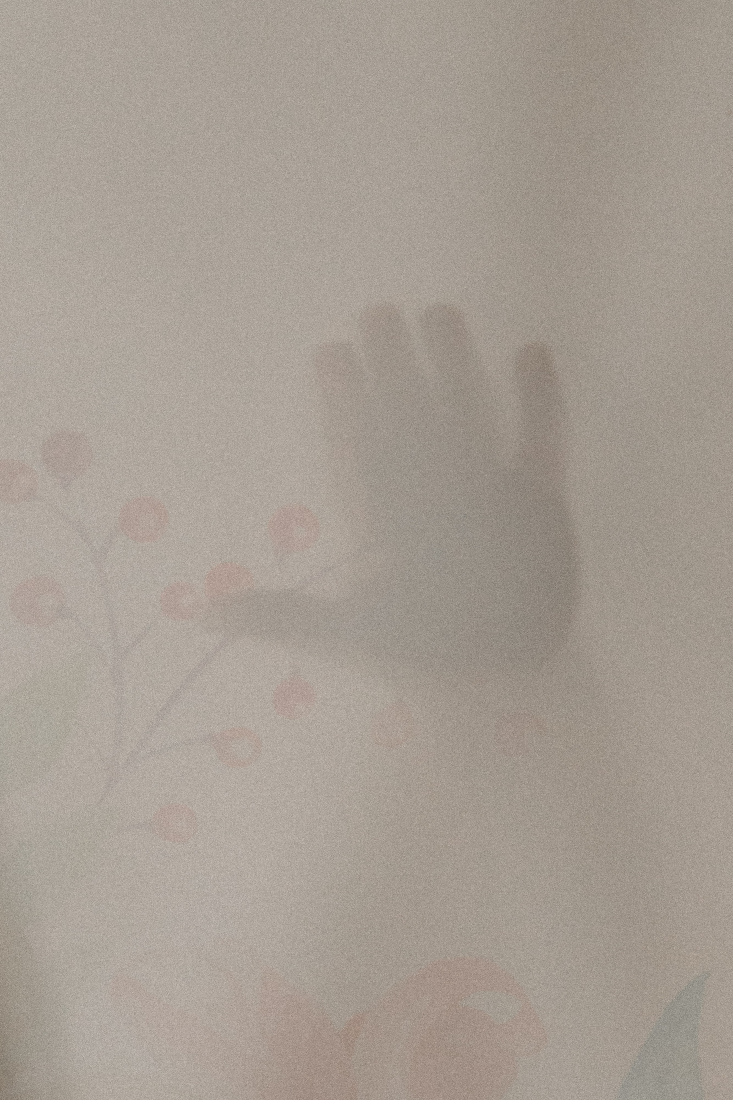 Анонс Wedding day Данил и Алина. Свадебный фотограф Колесников Антон